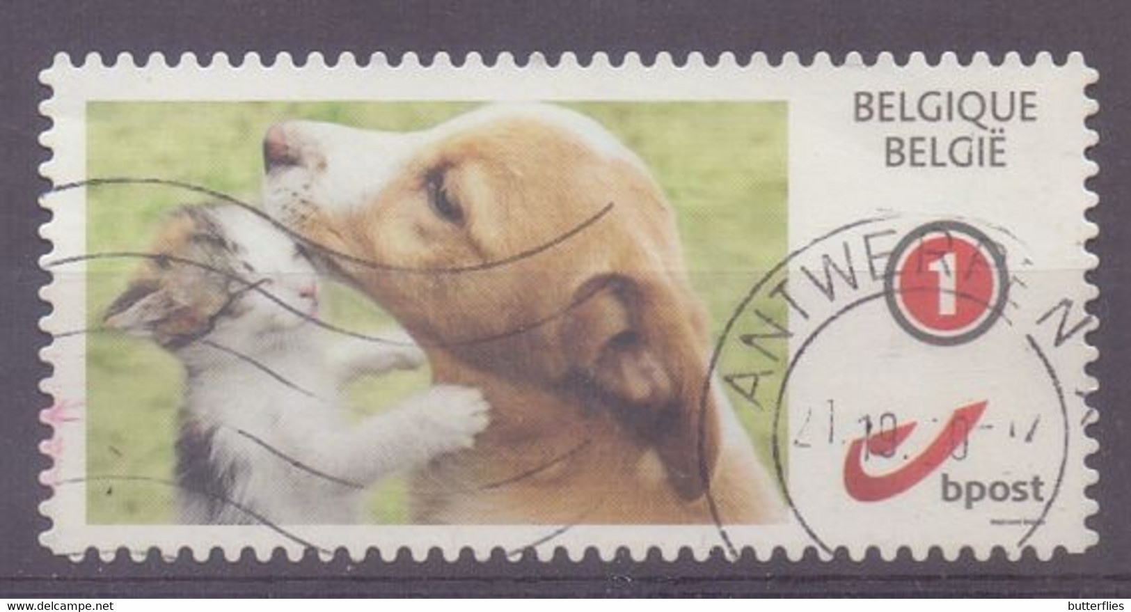 België - Duostamp  -  Kat - Hond - Zonder Papierresten - Gebraucht