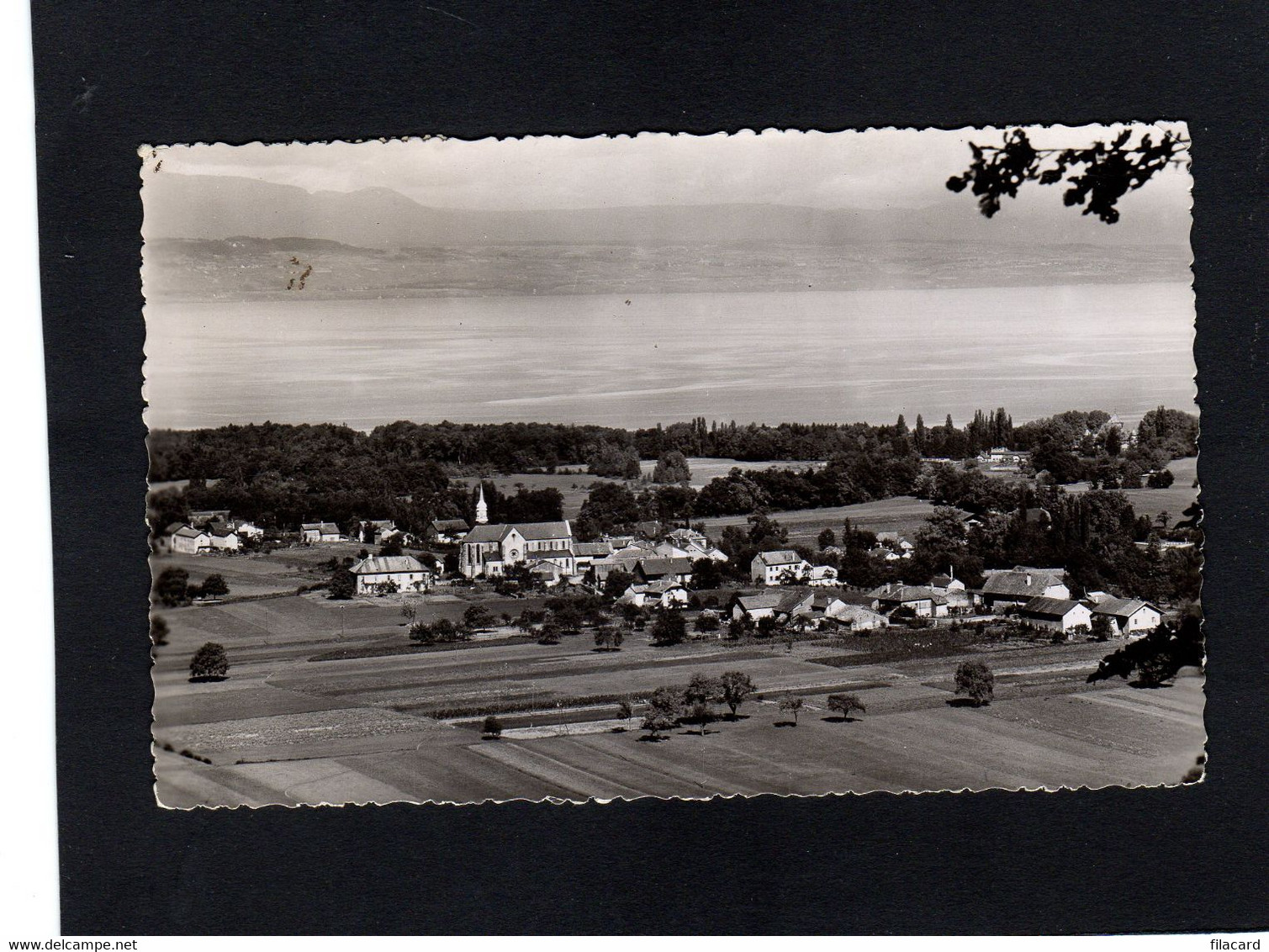 119022         Francia,     Sciez,   Le  Lac  Leman  Et  La  Cote  Suisse,   VG  1955 - Sciez