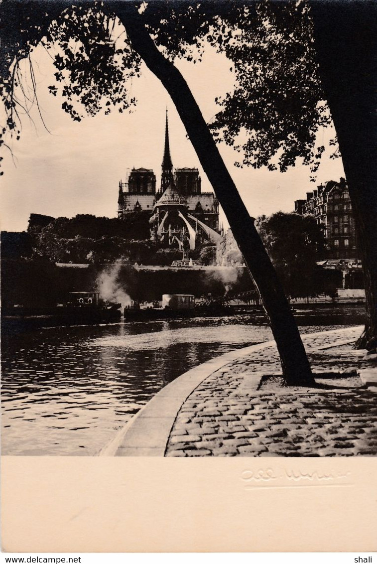 CPSM PARIS NOTRE DAME VUE DU QUAI D' ORLEANS - Petits Métiers à Paris