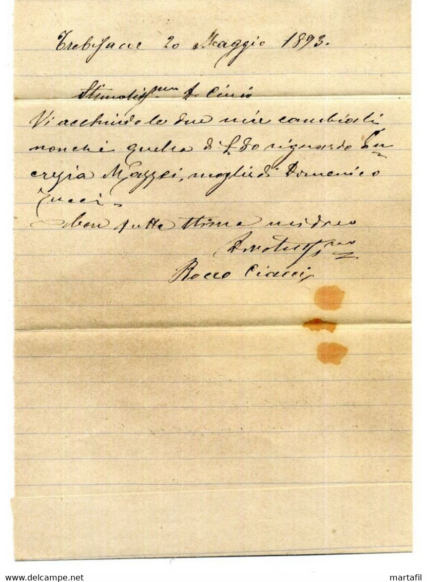 20.5.1893 Busta RACCOMANDATA + Lettera Da TREBISACCE (COSENZA) Per TARSIA - Marcofilía