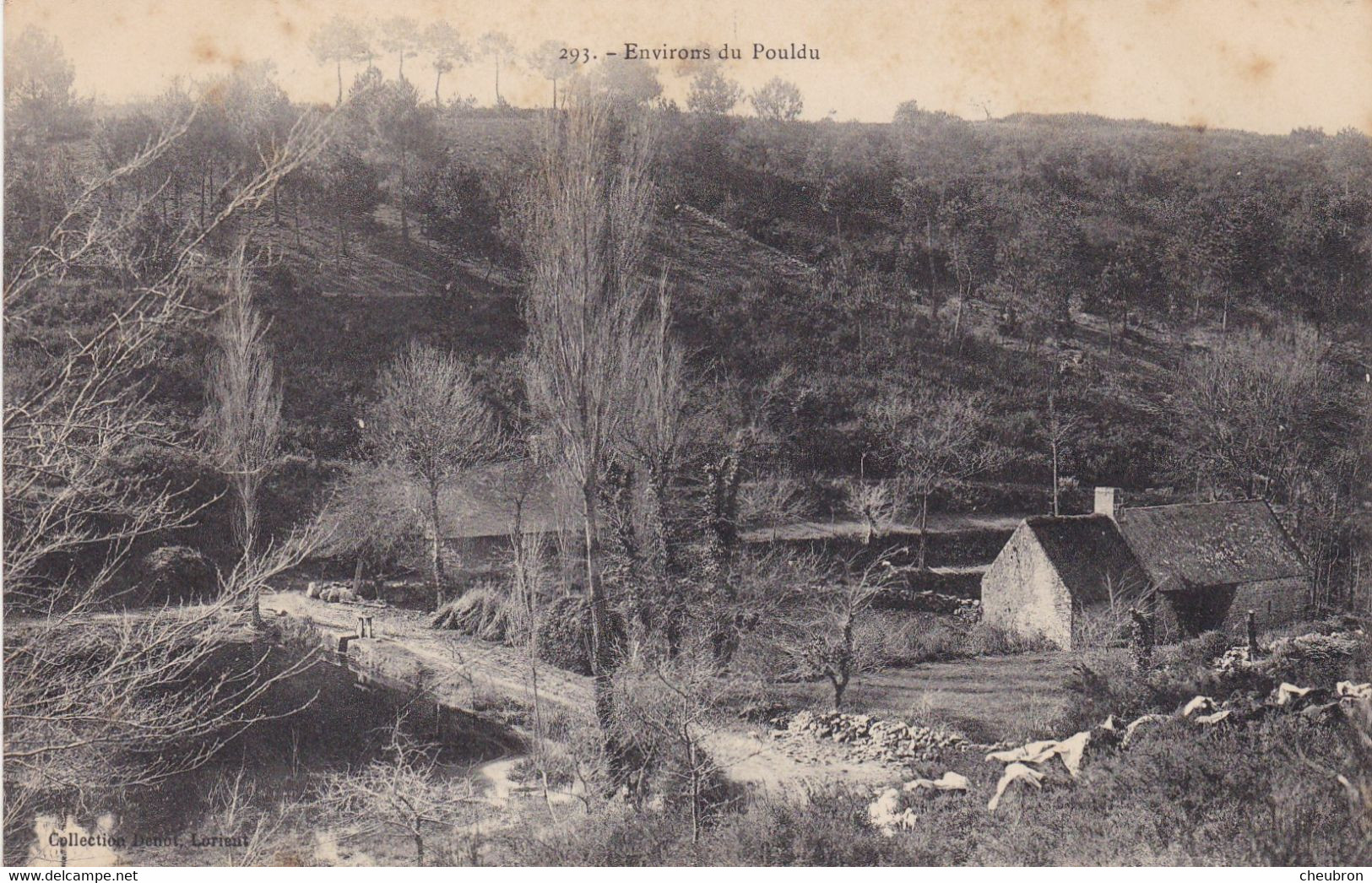 29. LE POULDU. CPA. ENVIRONS DU POULDU. - Le Pouldu