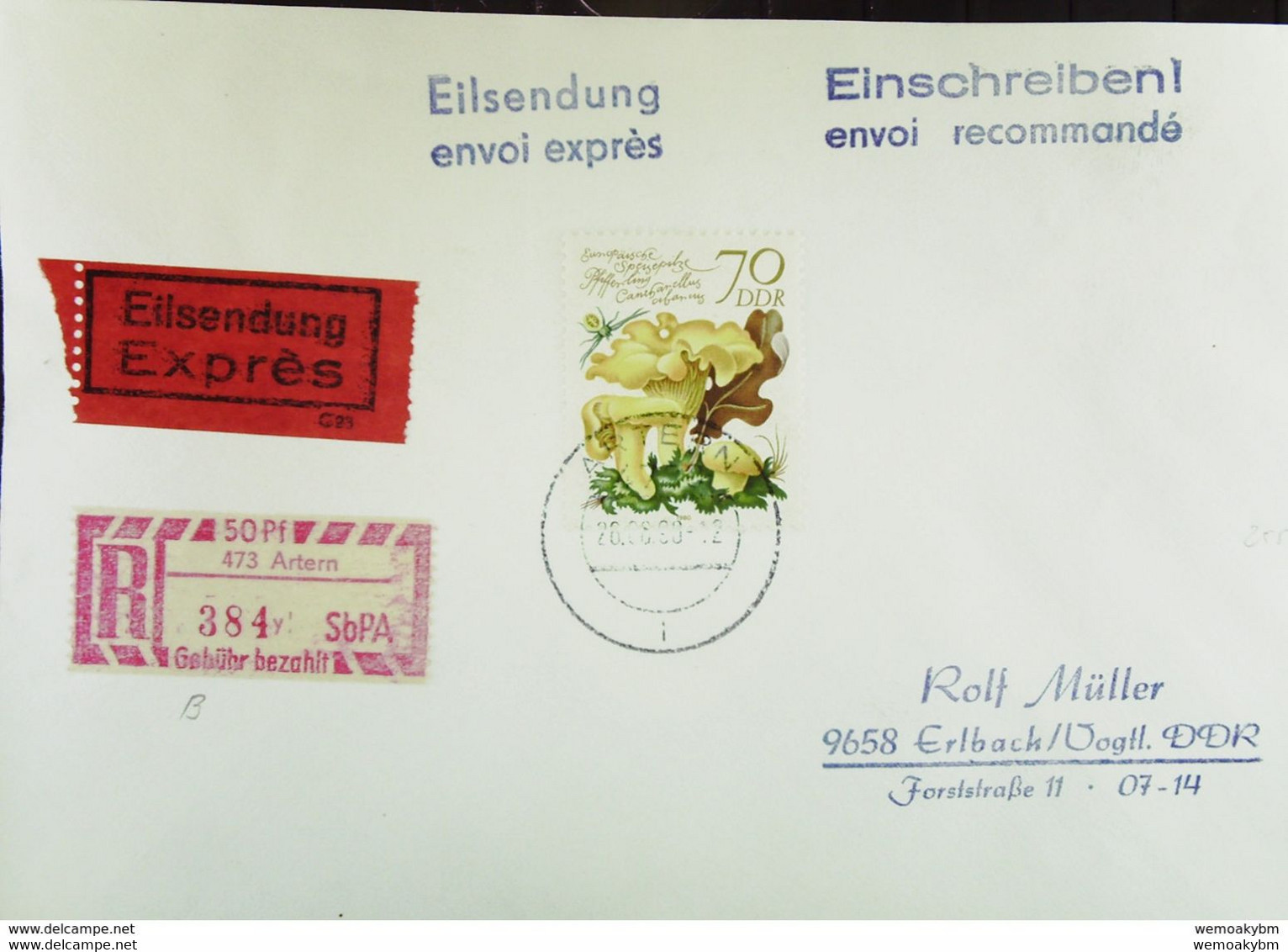 DDR: R-E-Fern-Bf 70 Pf Pfifferling Europ. Speisepilze Mit SbPA-R-Zettel 2, 473 Artern (384), Portoger. 26.8.90 Knr: 2556 - Labels For Registered Mail