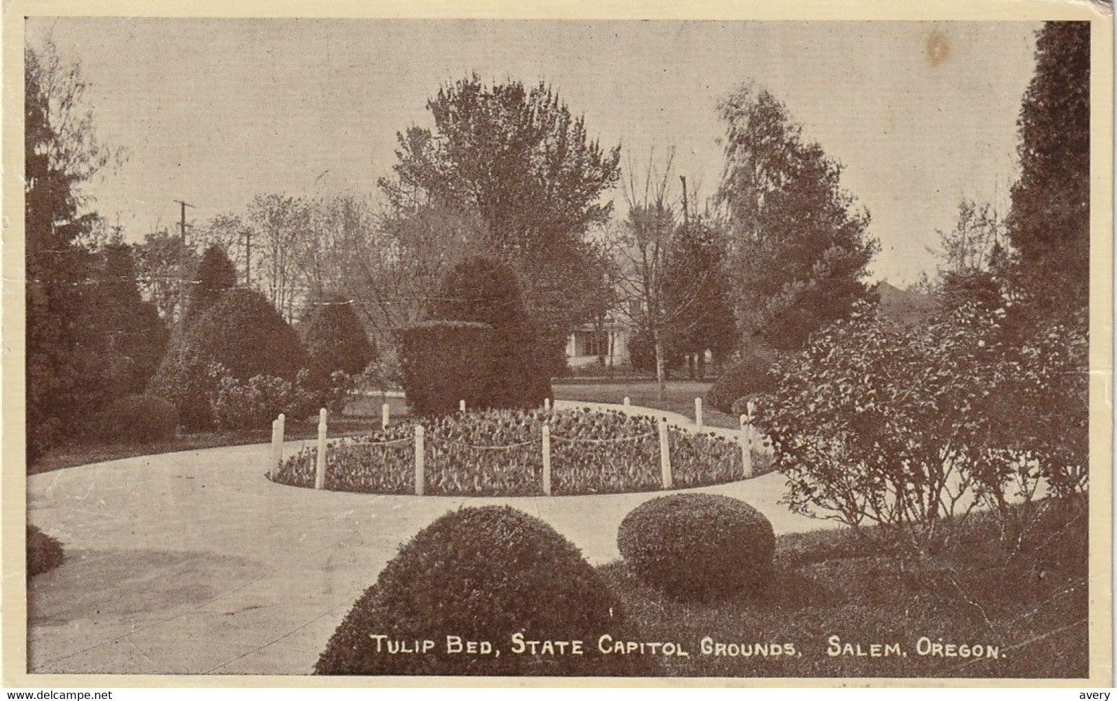 Tulip Bed, State Capitol Grounds, Salem, Oregon - Salem