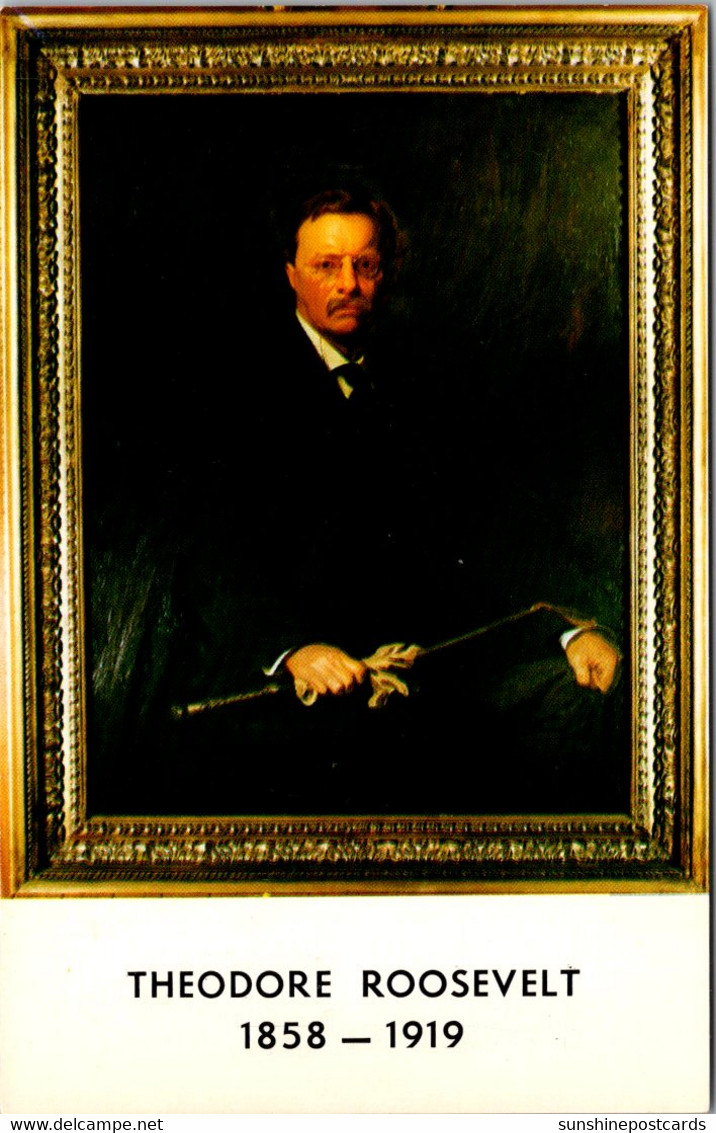 New York Long Island Oyster Bay Sagamore Portrait Of Theodore Roosevelt - Long Island