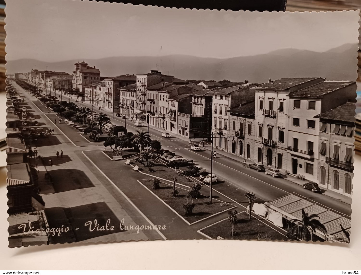 Cartolina Viareggio Prov Lucca Viale Lungomare 1960 - Viareggio