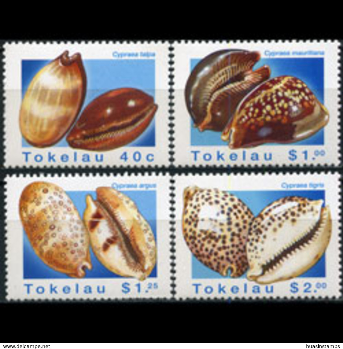 TOKELAU 1996 - Scott# 232-5 Seashells Set Of 4 MNH - Tokelau