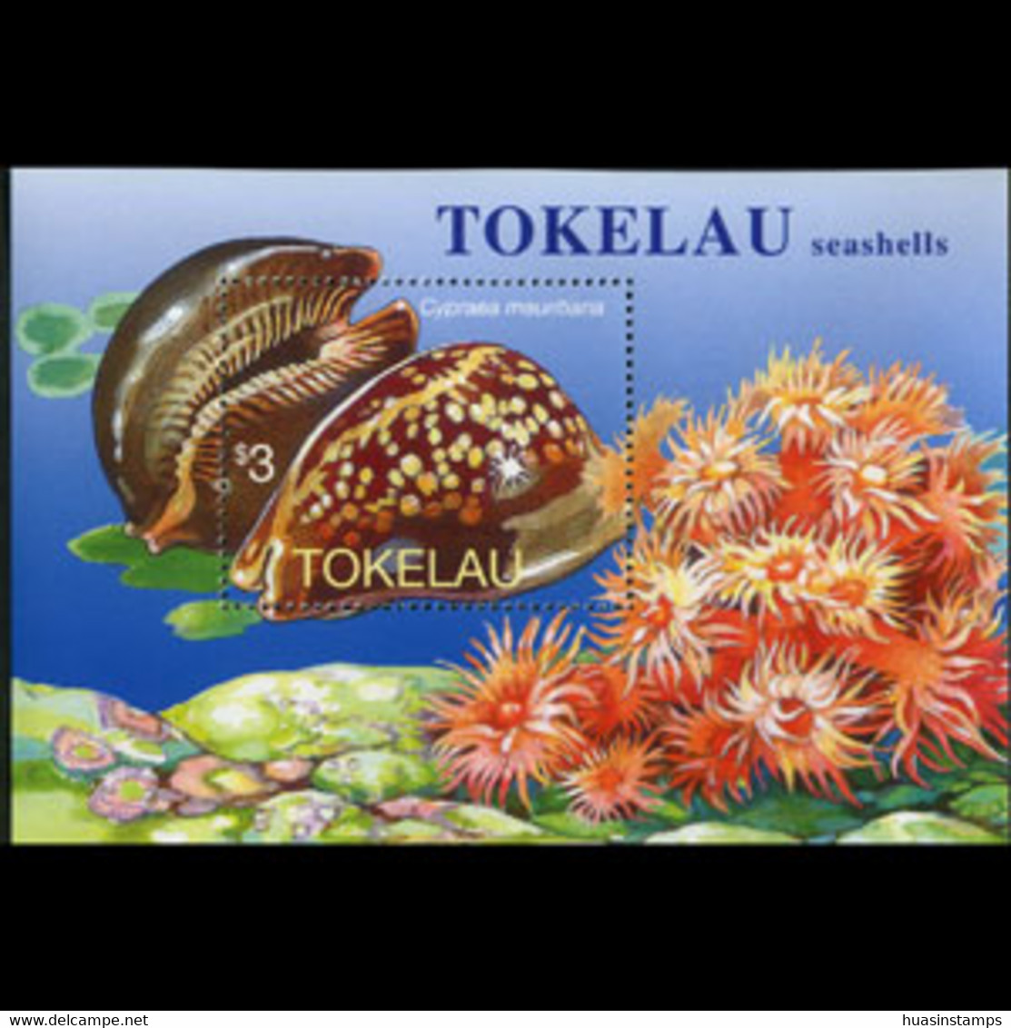 TOKELAU 1996 - Scott# 236 S/S Seashells MNH - Tokelau