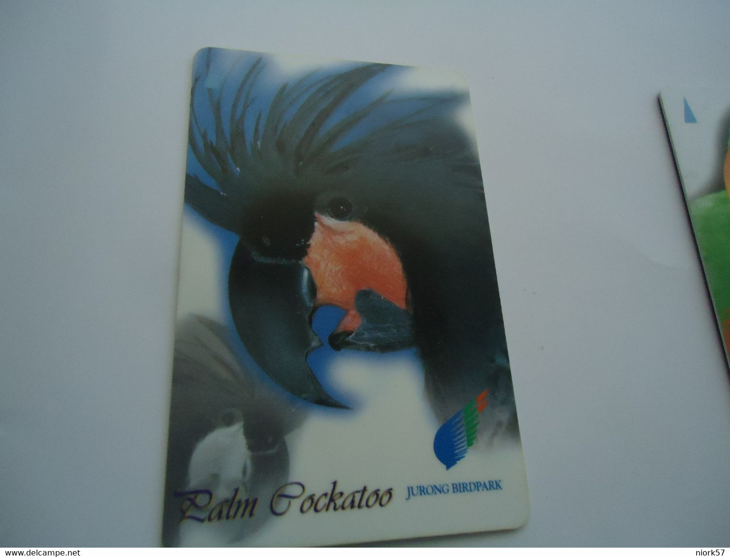SINGAPORE  USED  CARDS  BIRDS PAROTTS - Loros