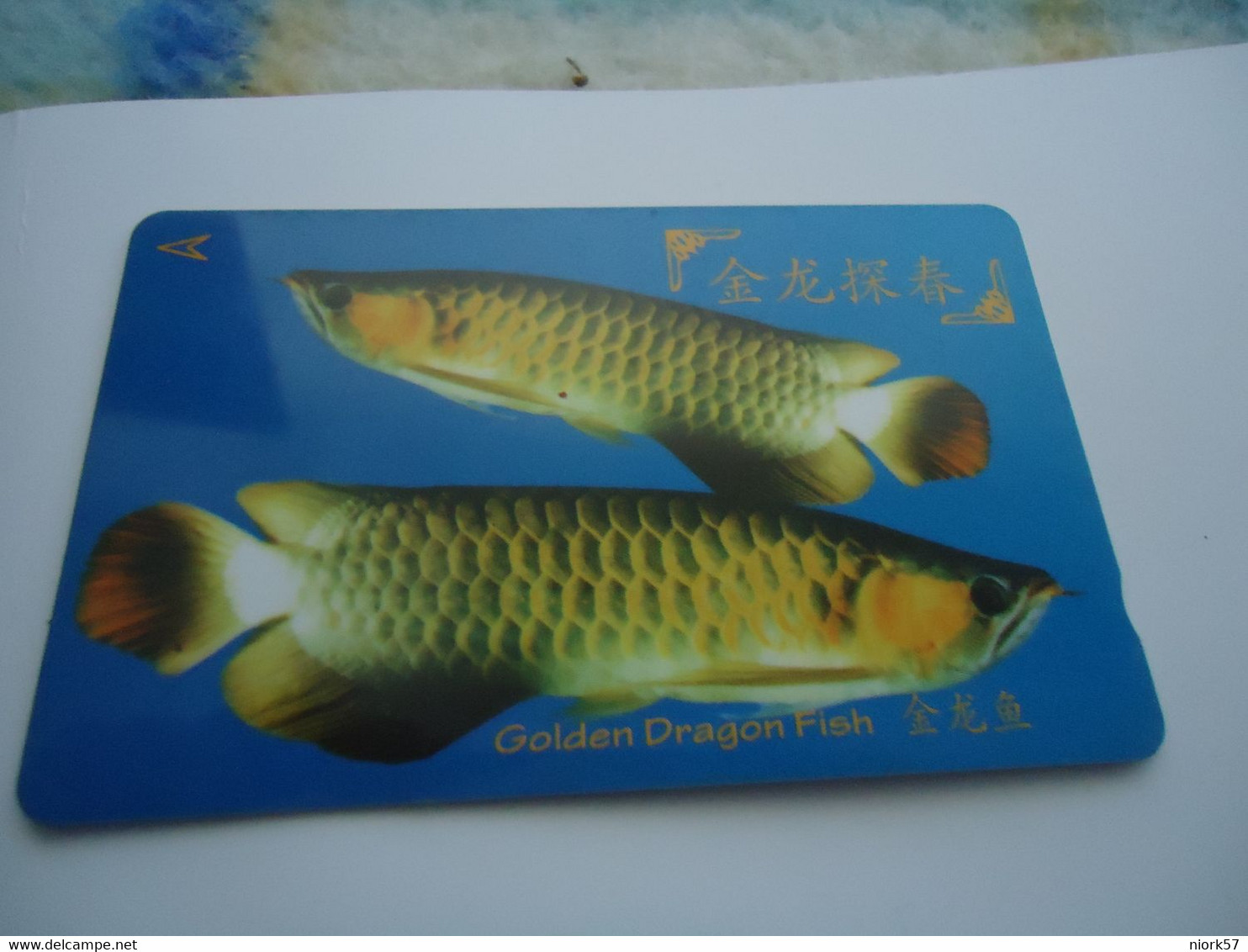 SINGAPORE  USED  CARDS  FISH FISHES - Vissen