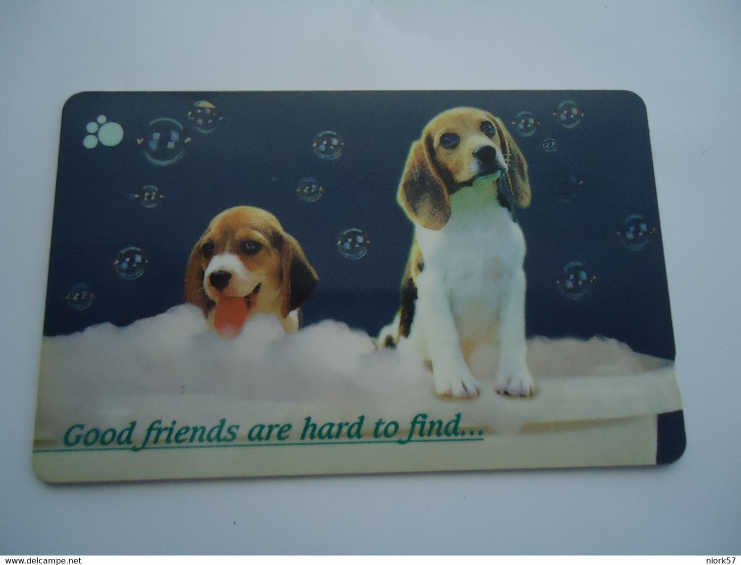 SINGAPORE  USED  CARDS  ANIMALS DOGS - Hunde