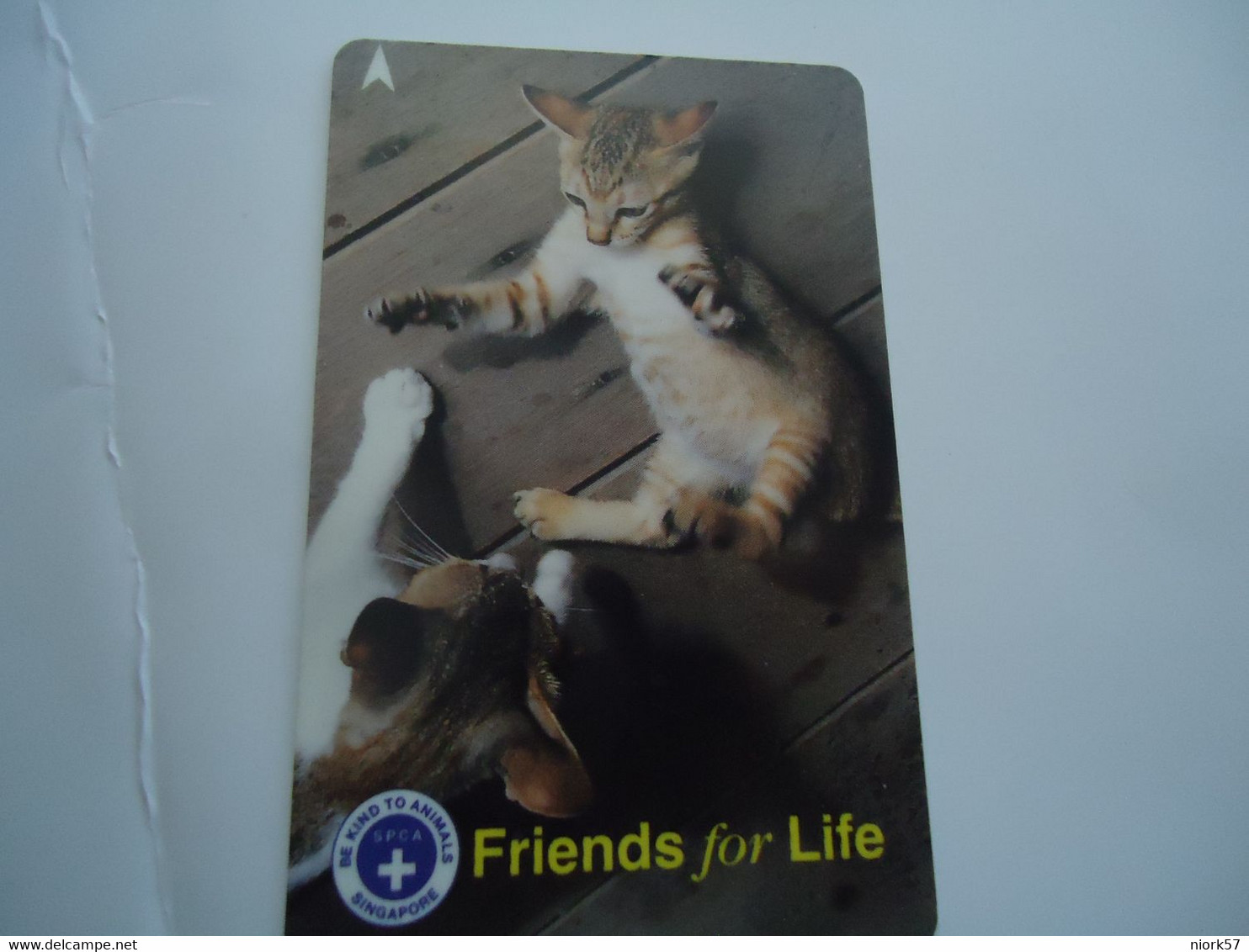 SINGAPORE  USED  CARDS  ANIMALS  CAT CATS - Cats