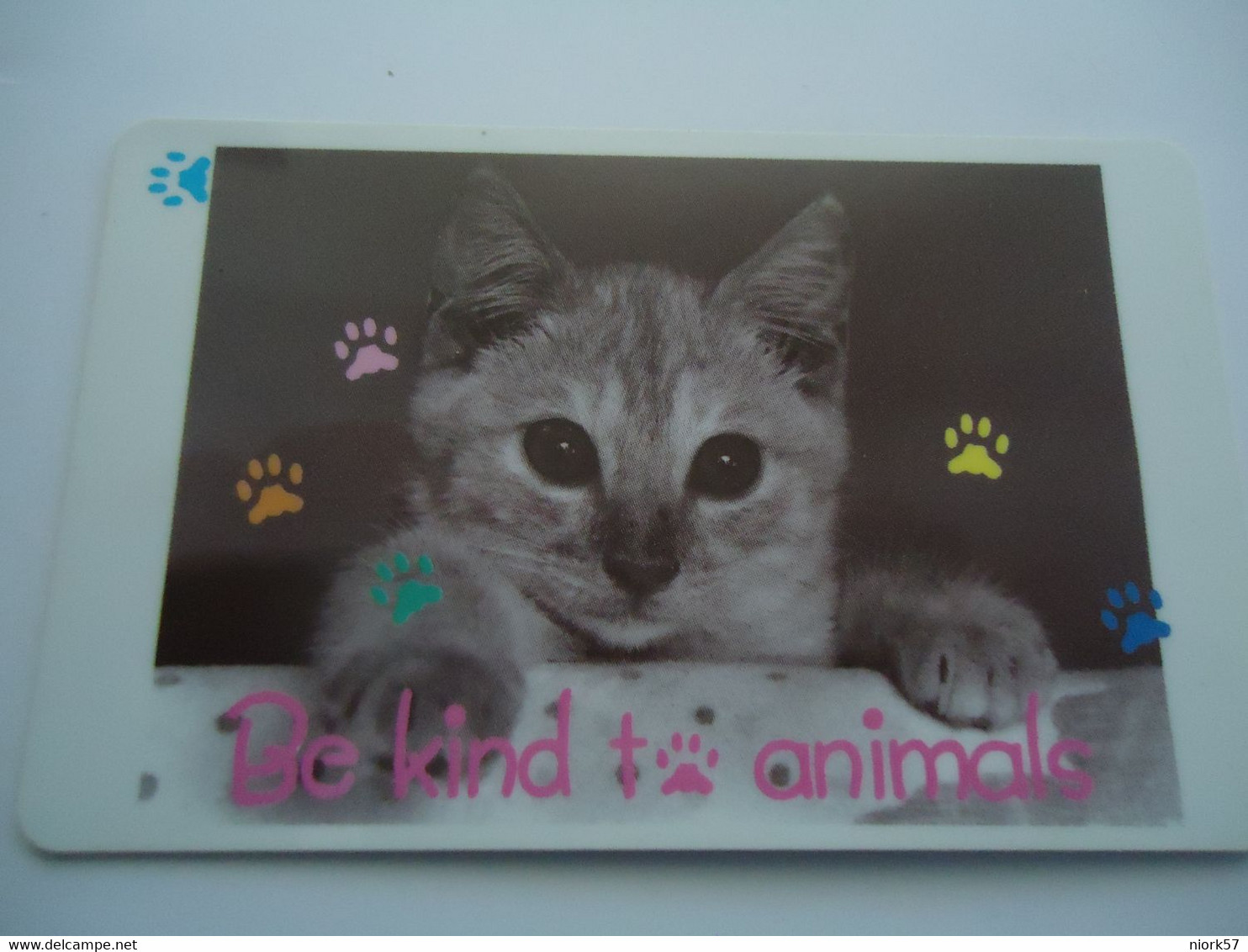 SINGAPORE  USED  CARDS  ANIMALS  CAT CATS - Cats