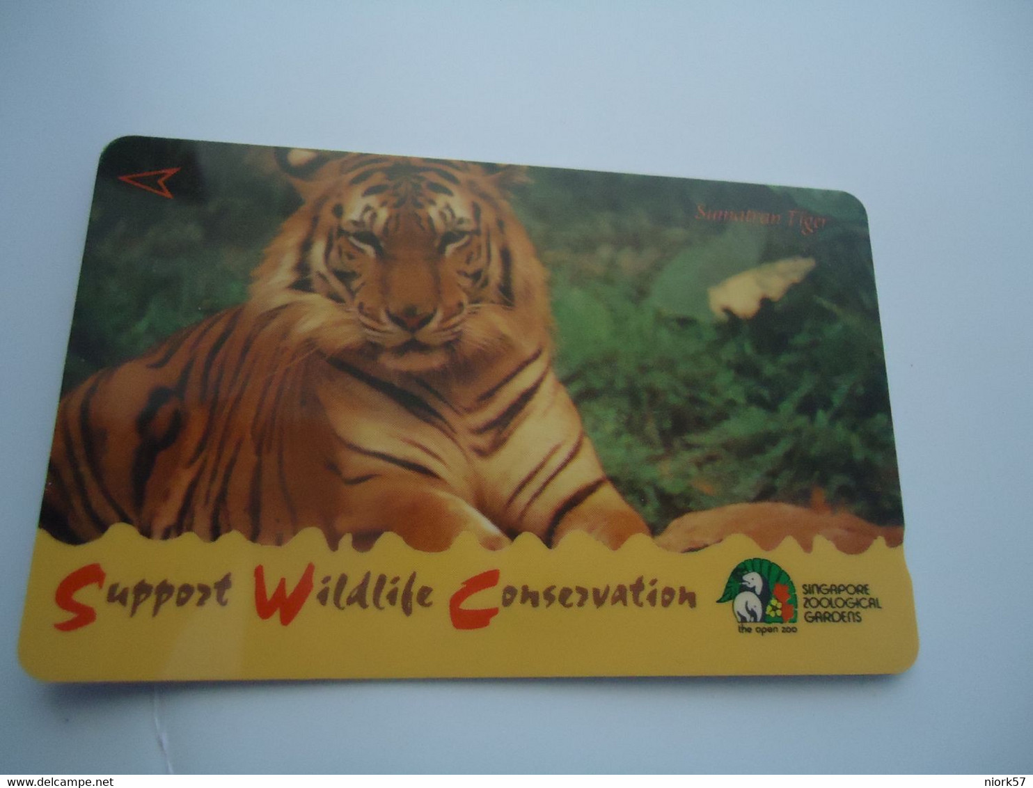 SINGAPORE  USED  CARDS  ANIMALS LIONS - Jungle