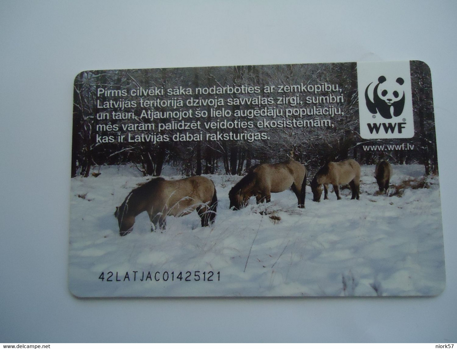 LATVIA USED  CARDS  ANIMALS  HORSES  WWF - Chevaux