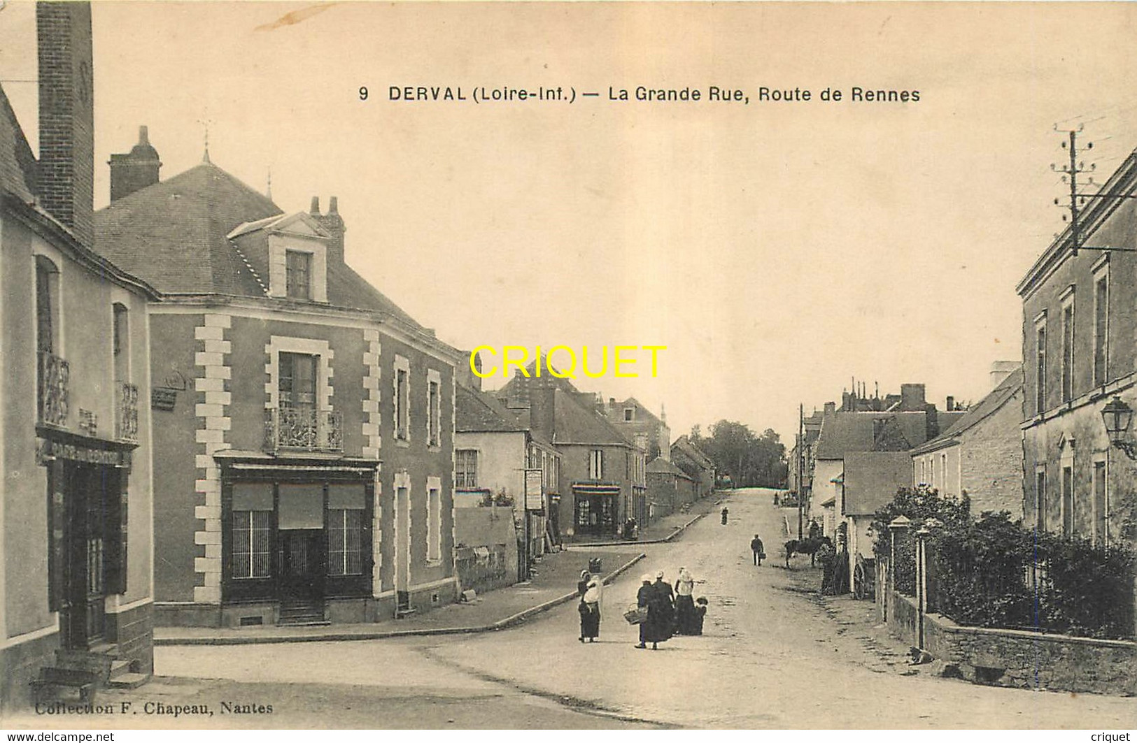 44 Derval, La Grande Rue, Route De Rennes, Carte Pas Courante - Derval