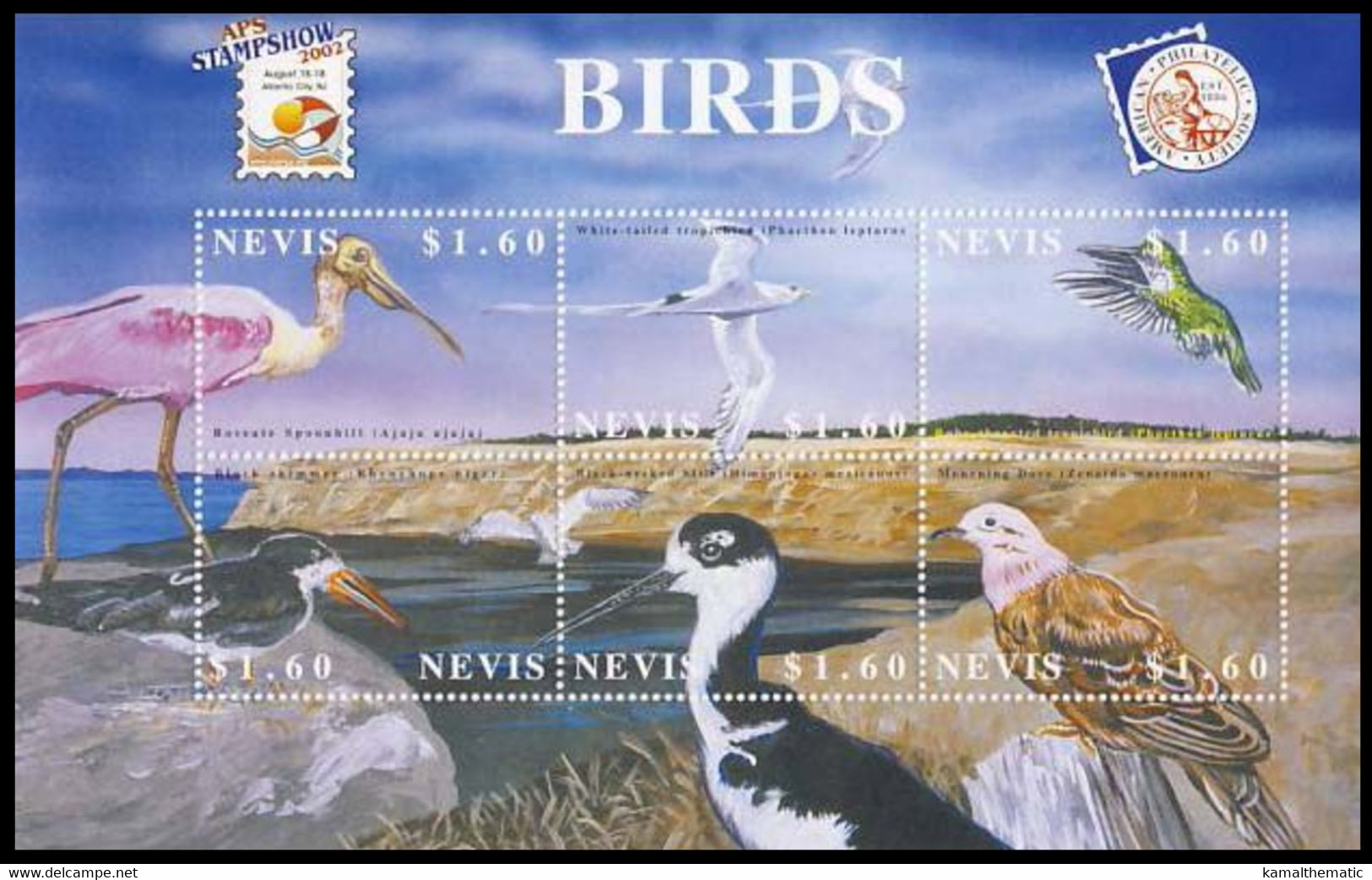 Nevis 2002 Birds MNH, Spoonbill, Black Skimmer,  Black Neck Stil, Mourning Dove - Hirondelles