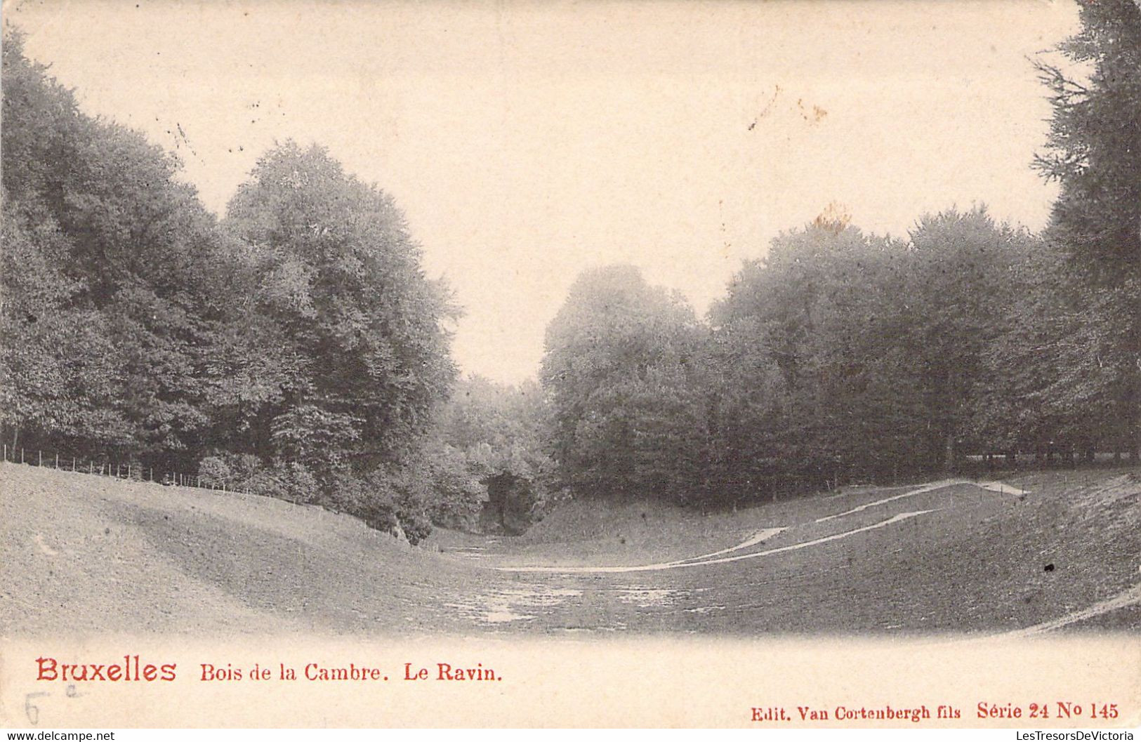 BRUXELLES - Bois De La Cambre - Le Ravin - Carte Postale Ancienne - Forêts, Parcs, Jardins