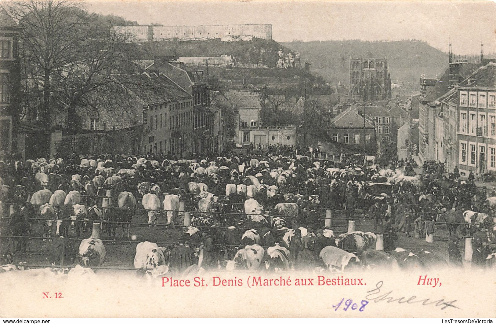 Belgique - Huy - Place Saint Denis - Vaches - Ruines - Précurseur - Oblitéré Huy 1908 - Carte Postale Ancienne - Huy