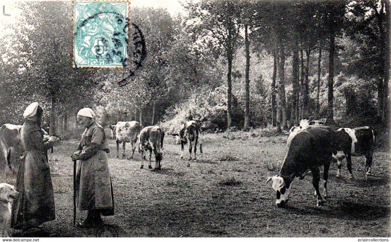 Scènes Champêtres Du Centre De La France  37   Gardiennes De Vaches   Grand Bazar Tours N° 667 - Other & Unclassified