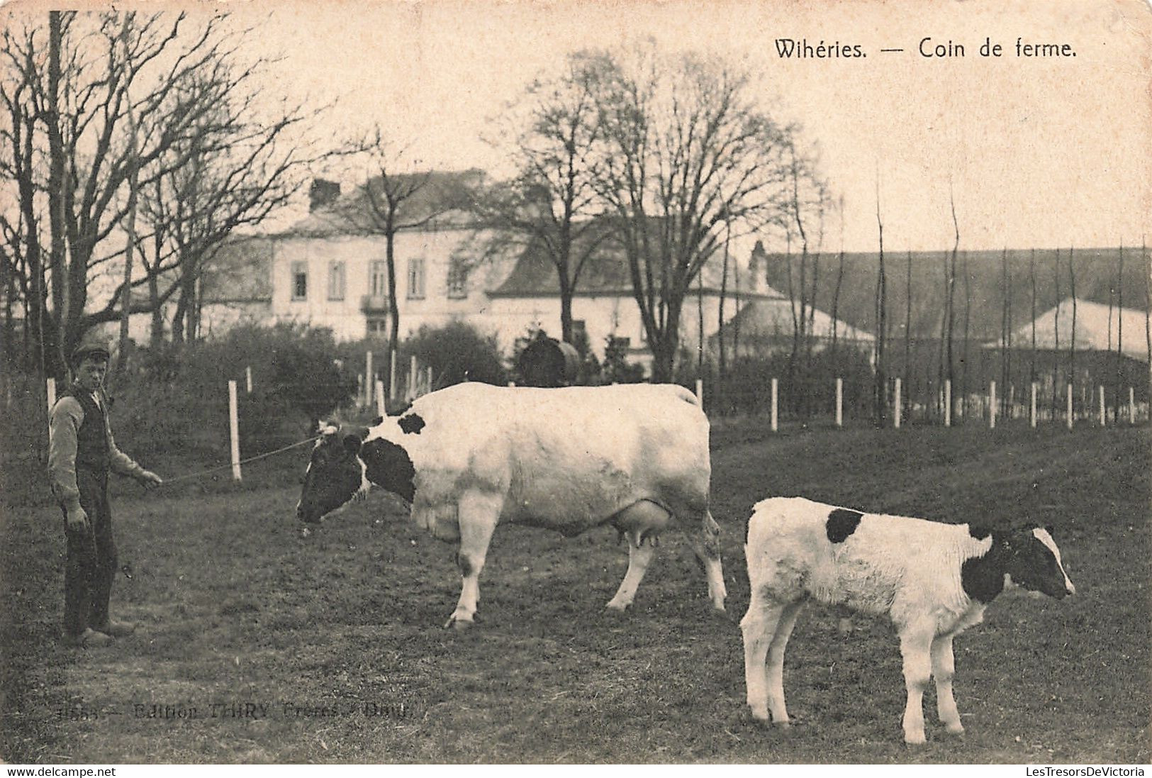 Belgique - Wihéries - Coin De Ferme - Vache Animé - Oblitéré Mpons 1908 - Carte Postale Ancienne - Saint-Ghislain