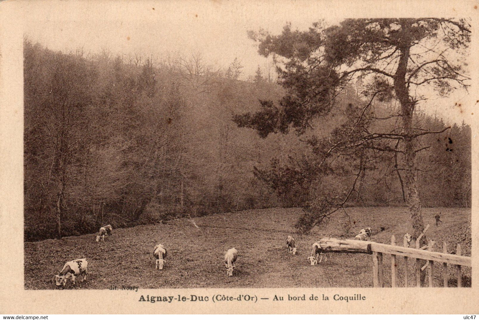 - 21 - AIGNAY-le-DUC (Côte-d'Or) - Au Bord De La Coquille - Scan Verso - - Aignay Le Duc