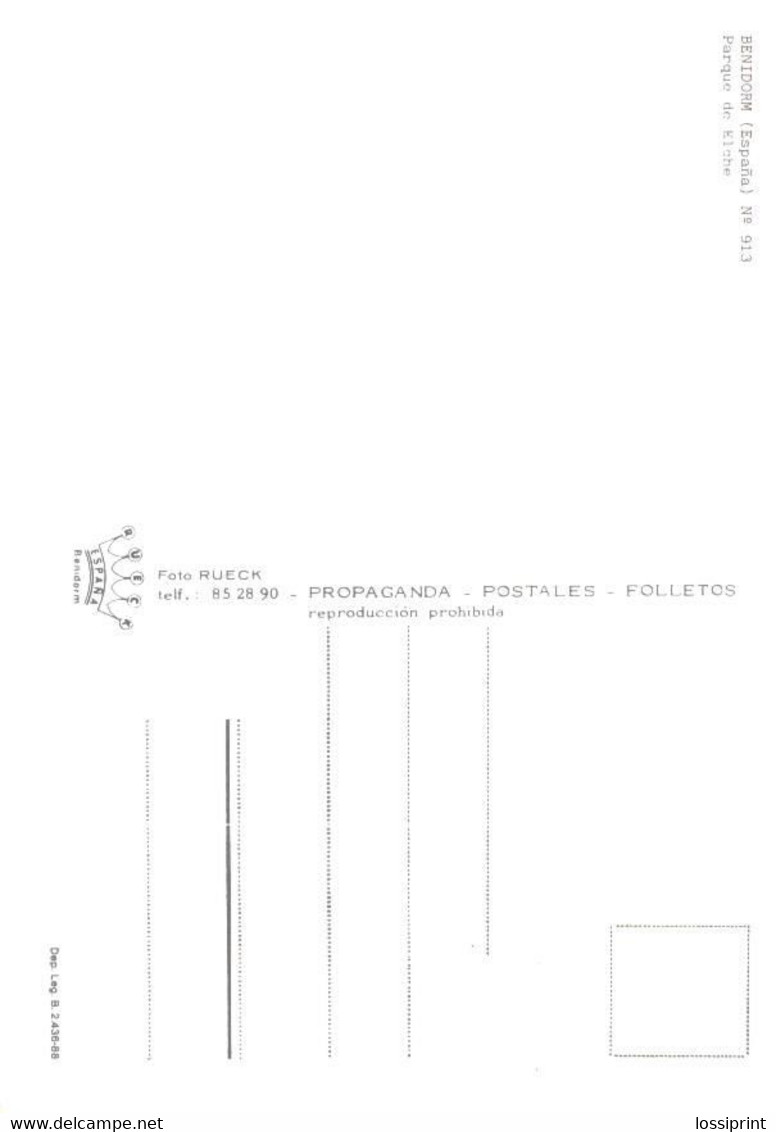 Spain:Benidorm, Elche Park - Alicante