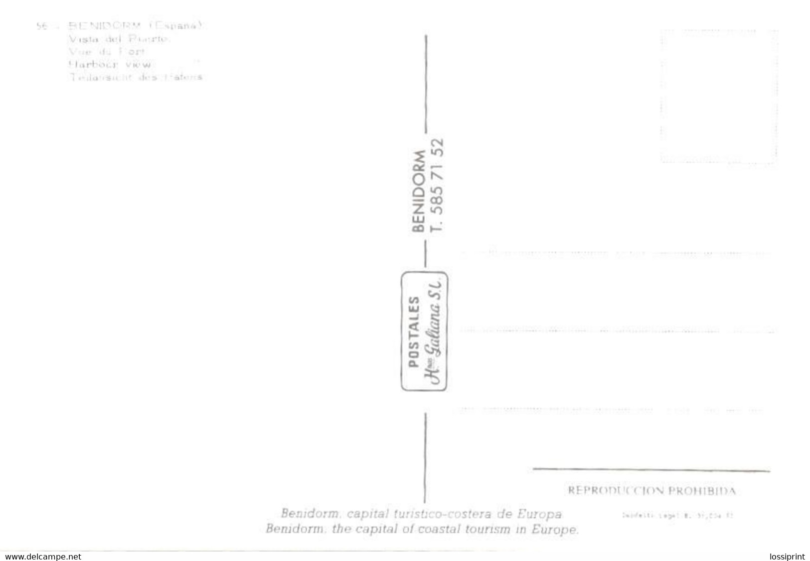 Spain:Benidorm, Harbour View - Alicante