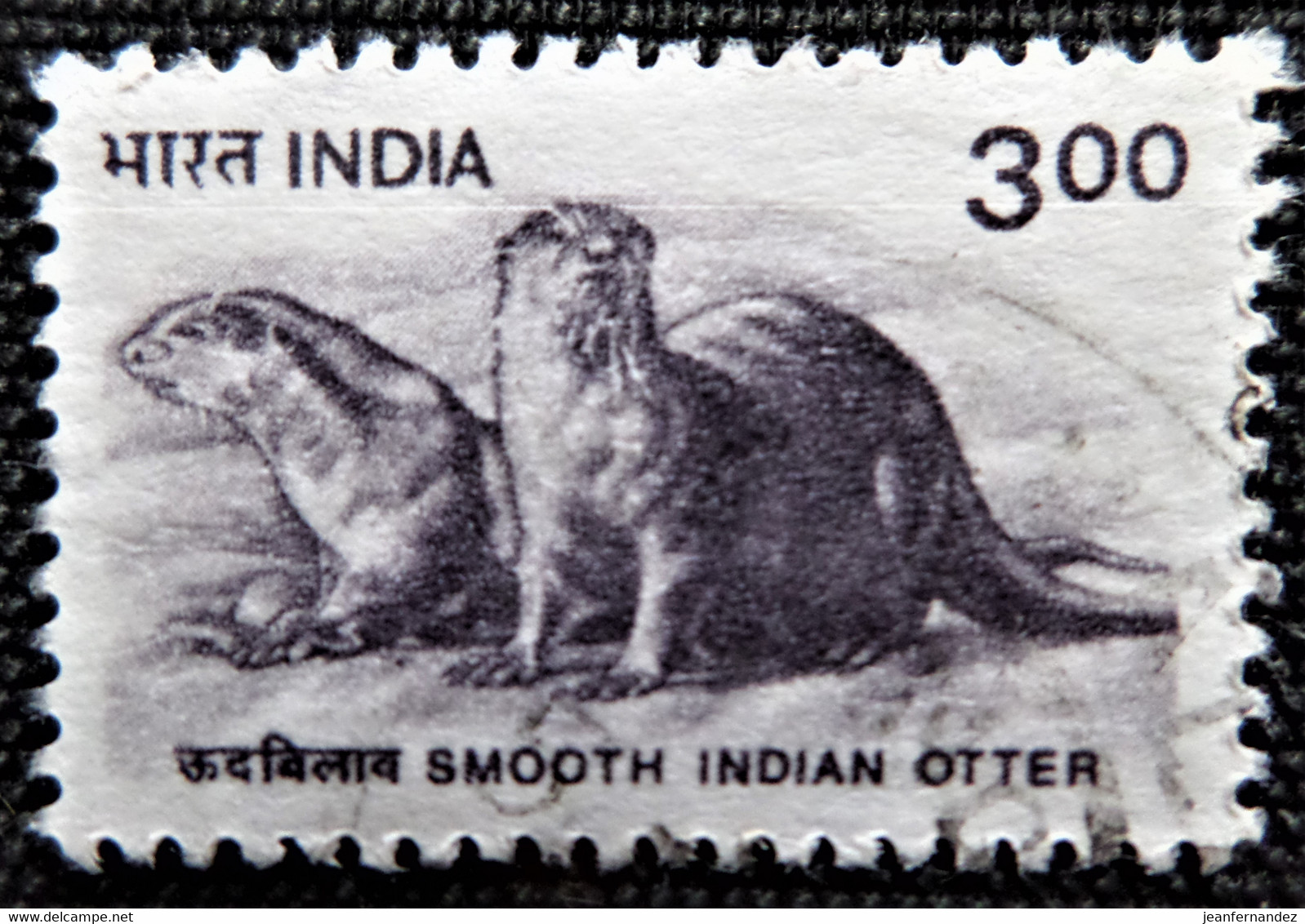 Timbres De L'Inde 2000 Wildlife   Stampworld N° 1774 - Usados
