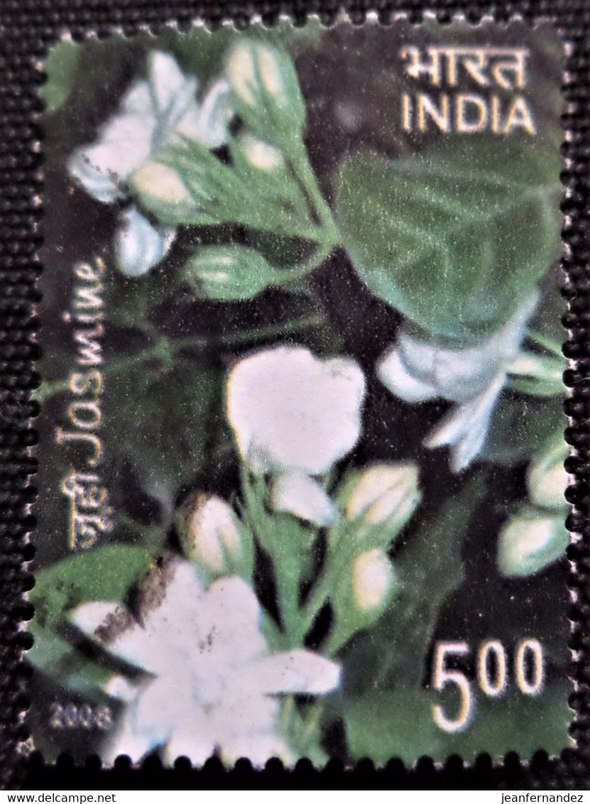 Timbres De L'Inde 2008 Jasmine    Stampworld N°  2272 - Gebruikt