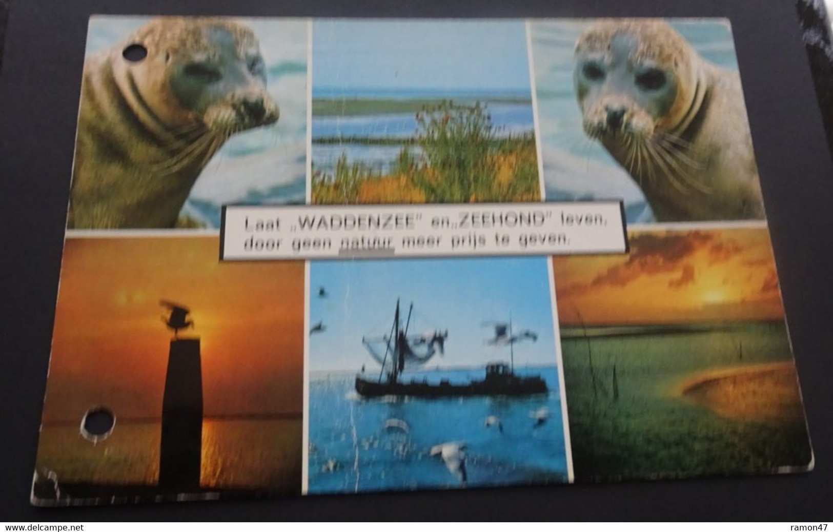 Laat "Waddenzee" En "Zeehond" Leven, Door Geen Natuur Meer Prijs Te Geven - Van Leer's Fotodrukindustrie, Amsterdam - Altri & Non Classificati