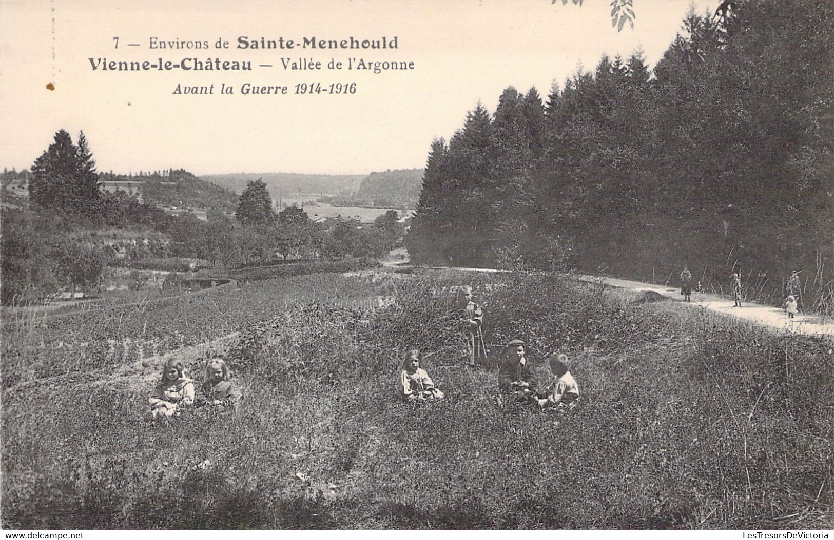 FRANCE - 51 - VIENNE LE CHATEAU - Vallée De L'Argonne - Carte Postale Ancienne - Autres & Non Classés