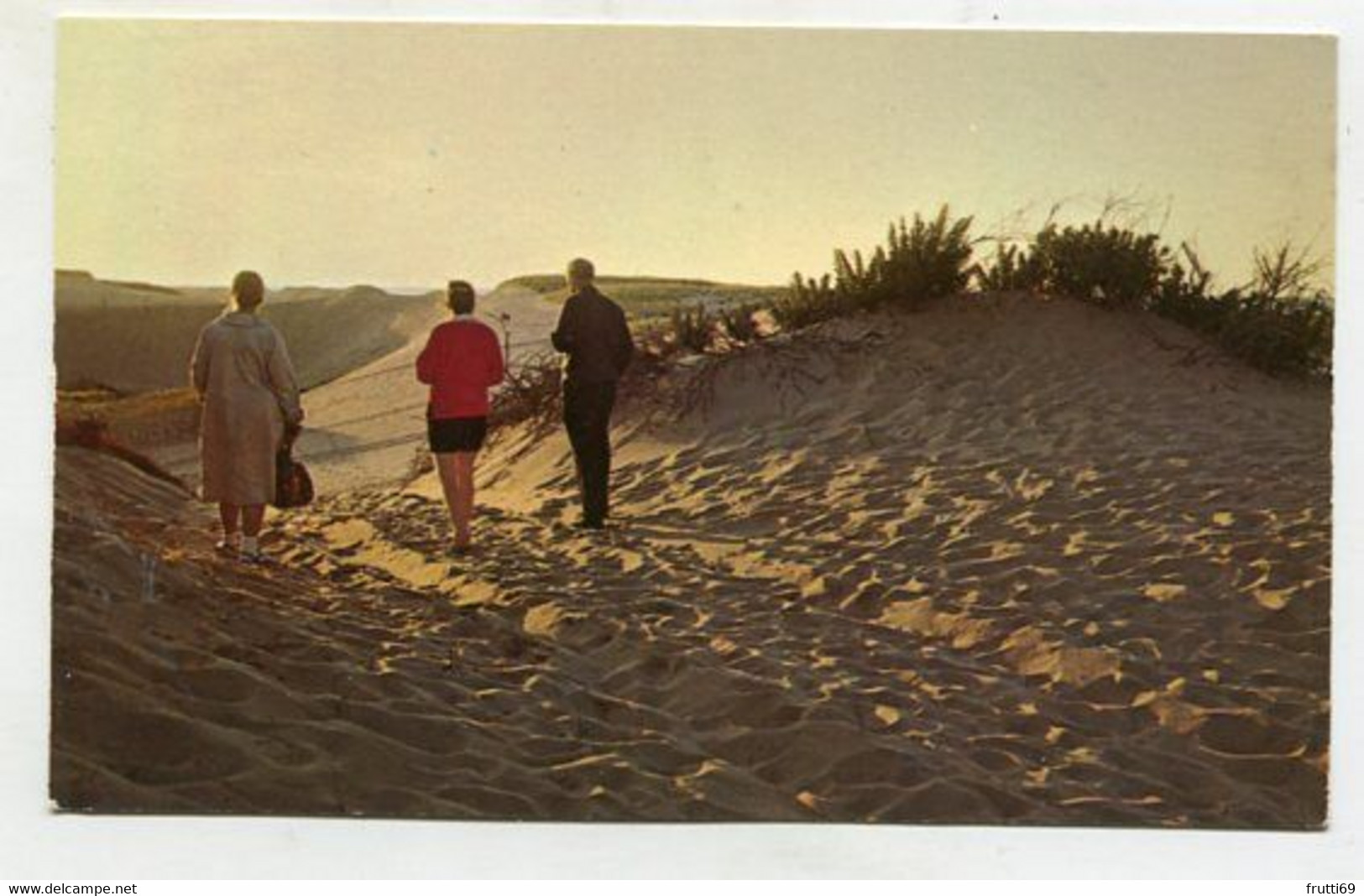 AK 110920 USA - Massachusetts - Cape Cod -twighlight On The Dunes - Cape Cod