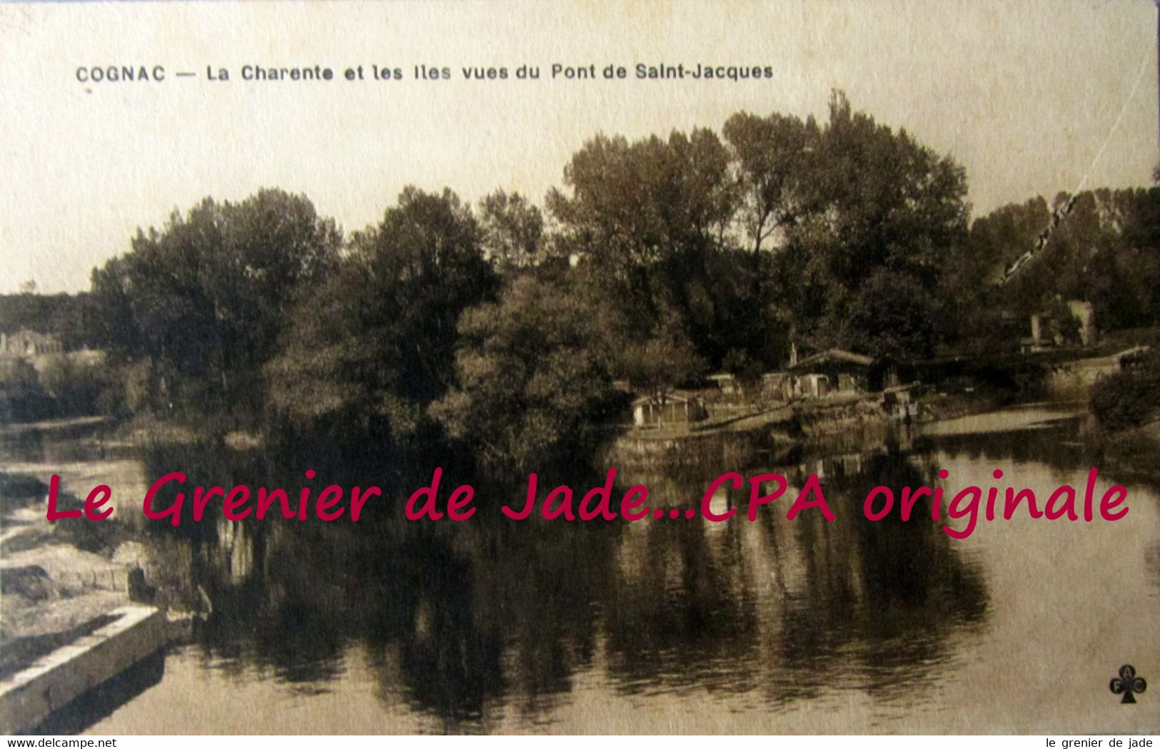 CPA 16 Charente COGNAC La Charente Et Les Iles Vues Du Pont Saint Jacques - Cognac