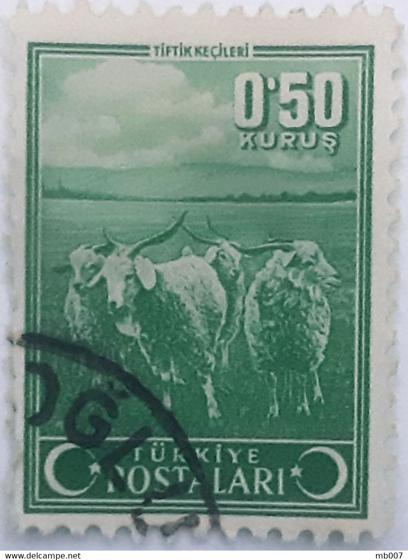 Turquie - Chèvre Angora - Used Stamps