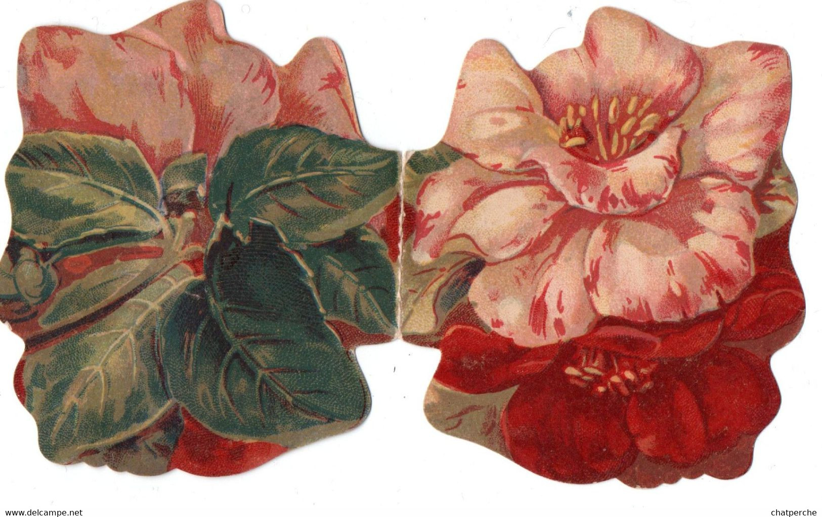 CHROMO CHROMOLITOGRAPHIE DECOUPIS DECOUPAGE FLEURS ANNEE 1901 PUBLICITE HIGH LIFE TAILOR - Flowers