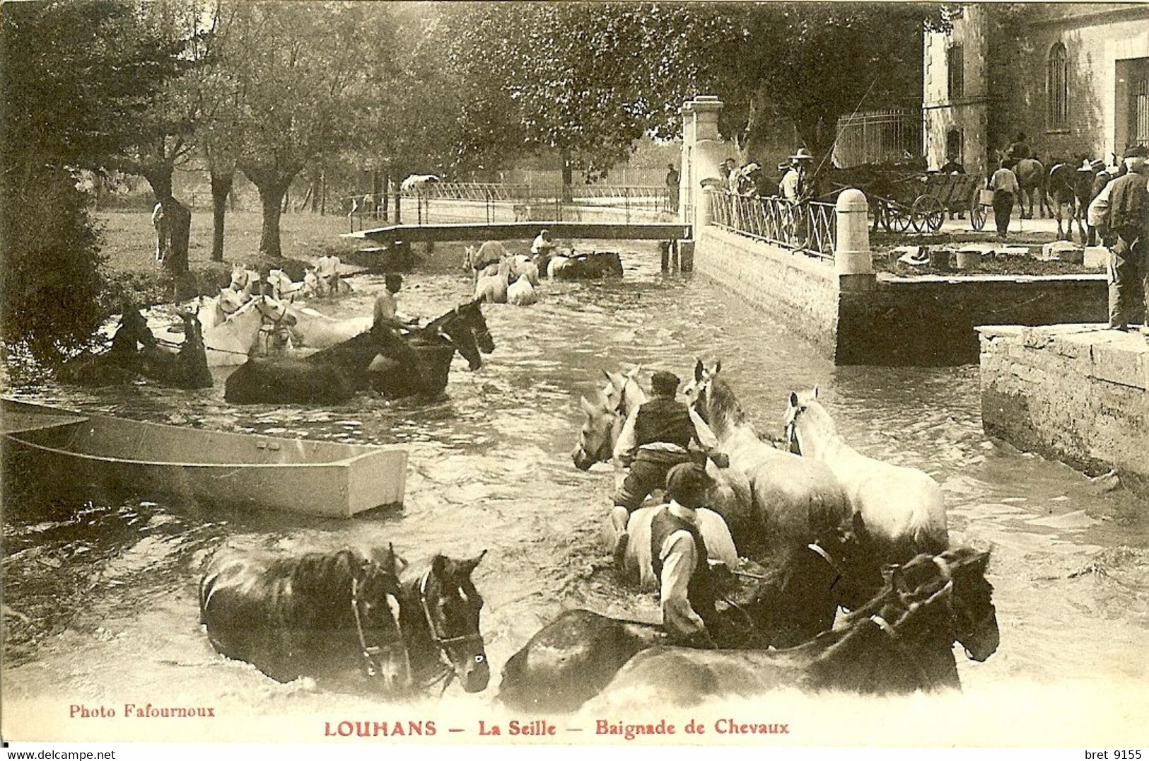 71 LOUHANS LA SEILLE BAIGNADE DES CHEVAUX IL N Y A PAS DE MECONTENT - Louhans