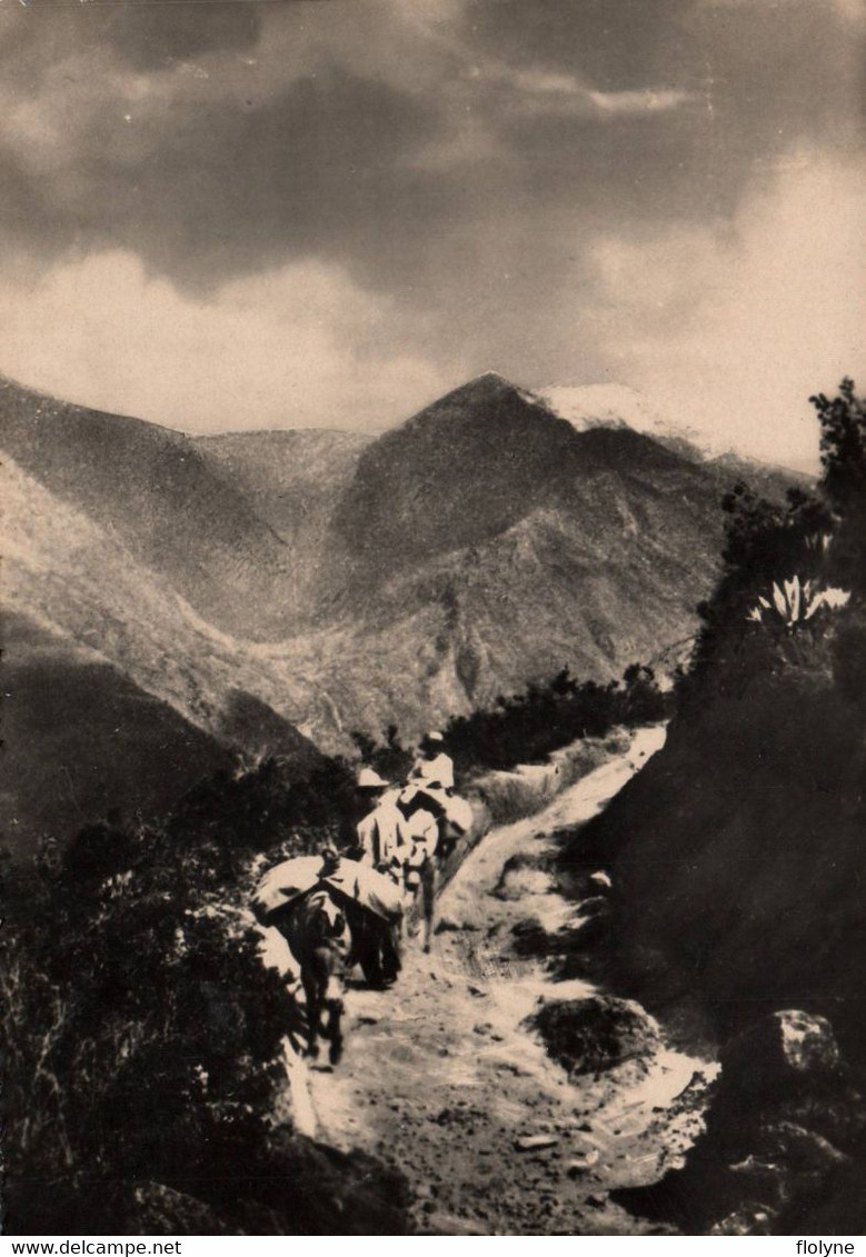 Sentier Dans Les Andes - Venezuela Pintoresca - Sus Montanas - Venezuela