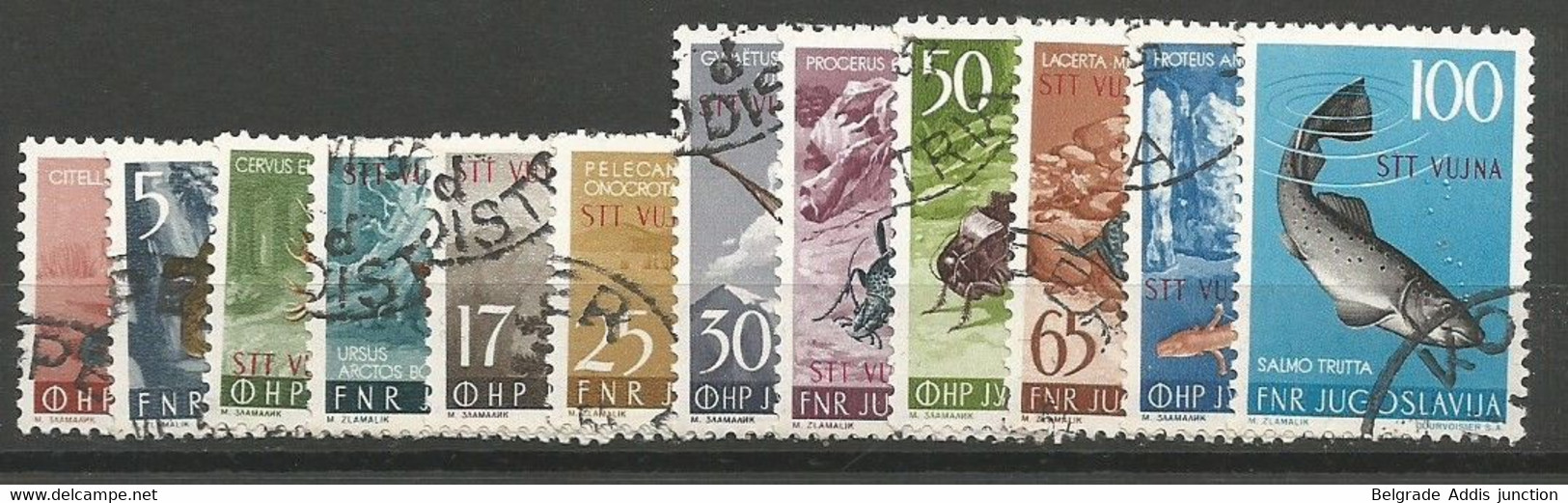 Italy Yugoslavia Italia Trieste Zone B Sassone 101/12 (S.28) Set Used 1954 Sass.CV: 180,00€ Fauna - Afgestempeld