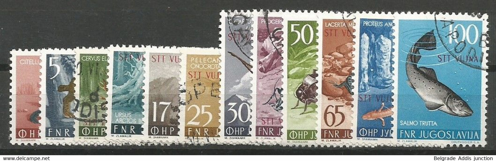 Italy Yugoslavia Italia Trieste Zone B Sassone 101/12 (S.28) Set Used 1954 Sass.CV: 180,00€ Fauna - Afgestempeld