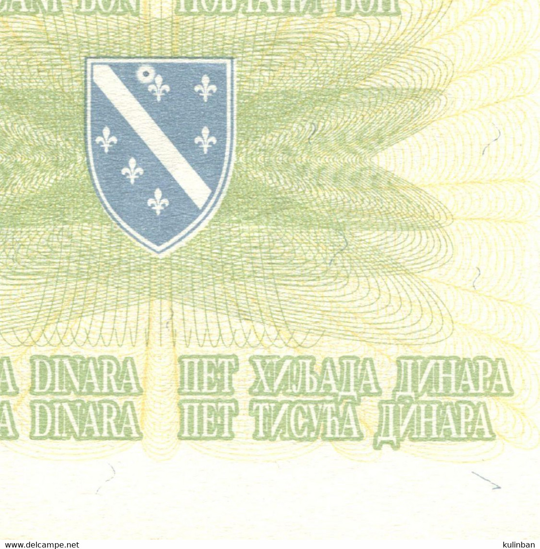 Bosnia,ERROR, 5.000 Dinara, P-16A, 1993. A Printing Error On The State Coat Of Arms Is Visible On The Wallet - Bosnia Erzegovina