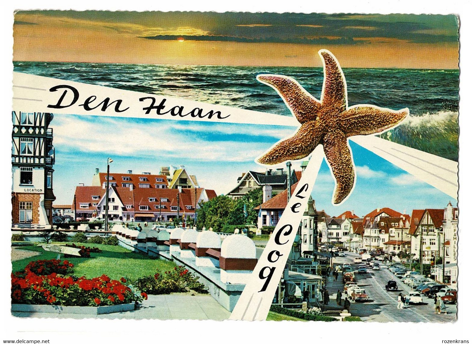 De Den Haan Le Coq Groet Uit Zeester  Seestern étoile De Mer Starfish - De Haan