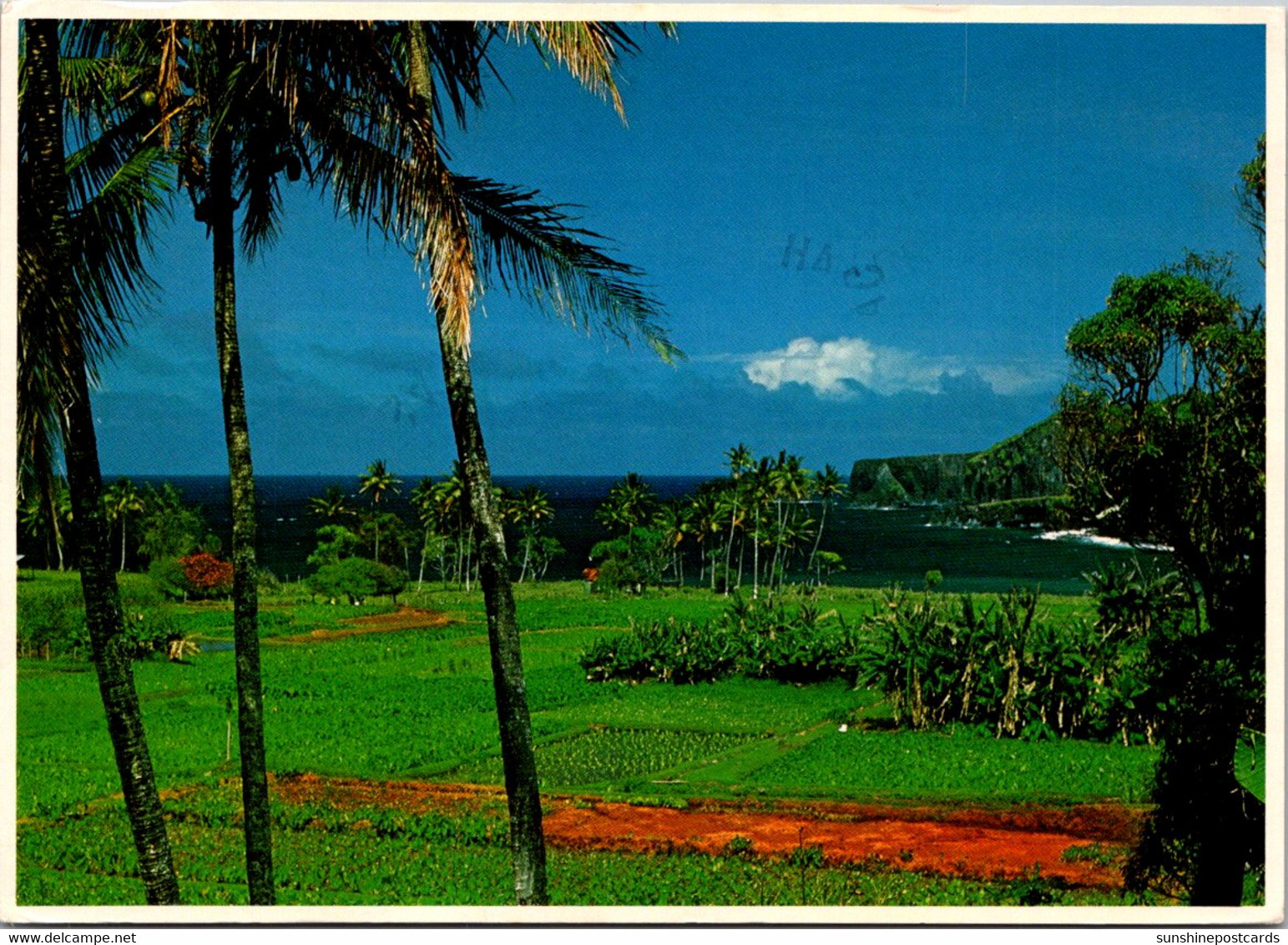 Kawaii Maui Lush Farmland Of Hakukoloa 1983 - Maui