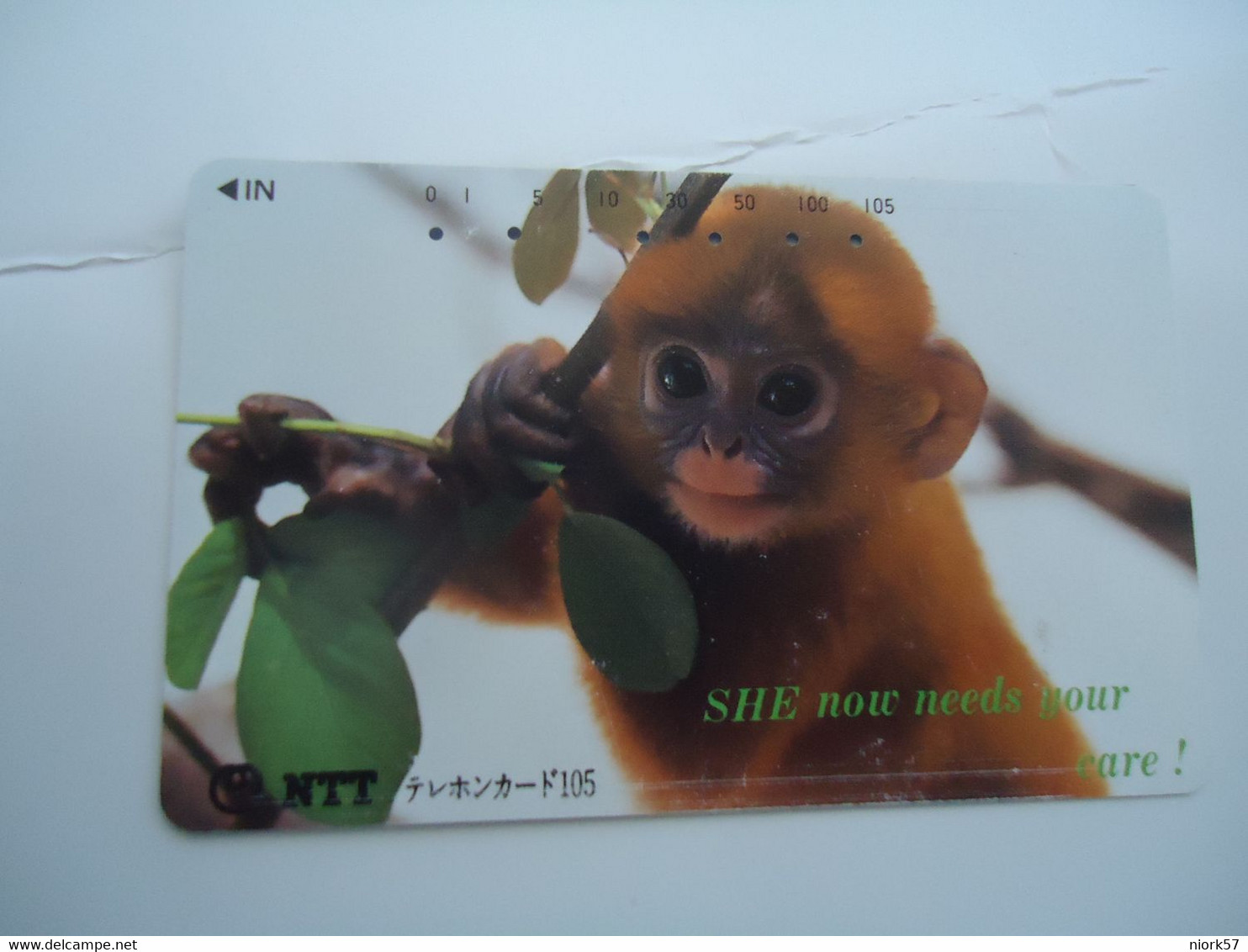 JAPAN USED CARDS ANIMALS MONKEY    231-082 - Jungle