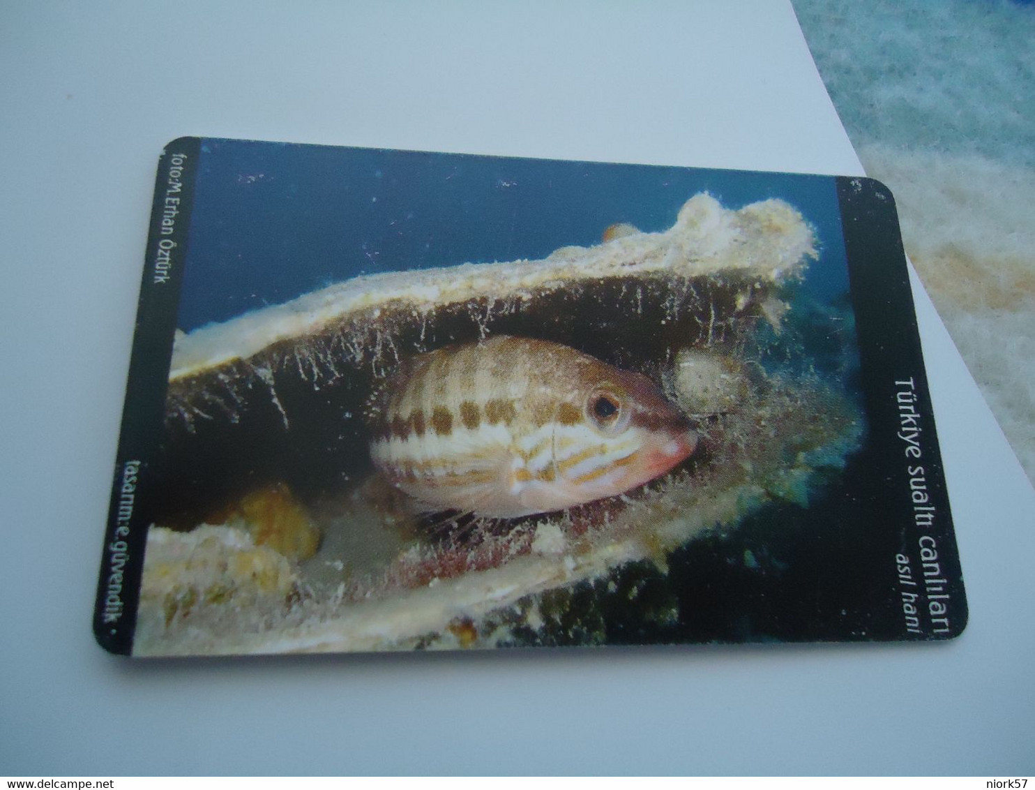 TURKEY USED  CARDS  FISH FISHES  MARINE LIFE 100 - Fish