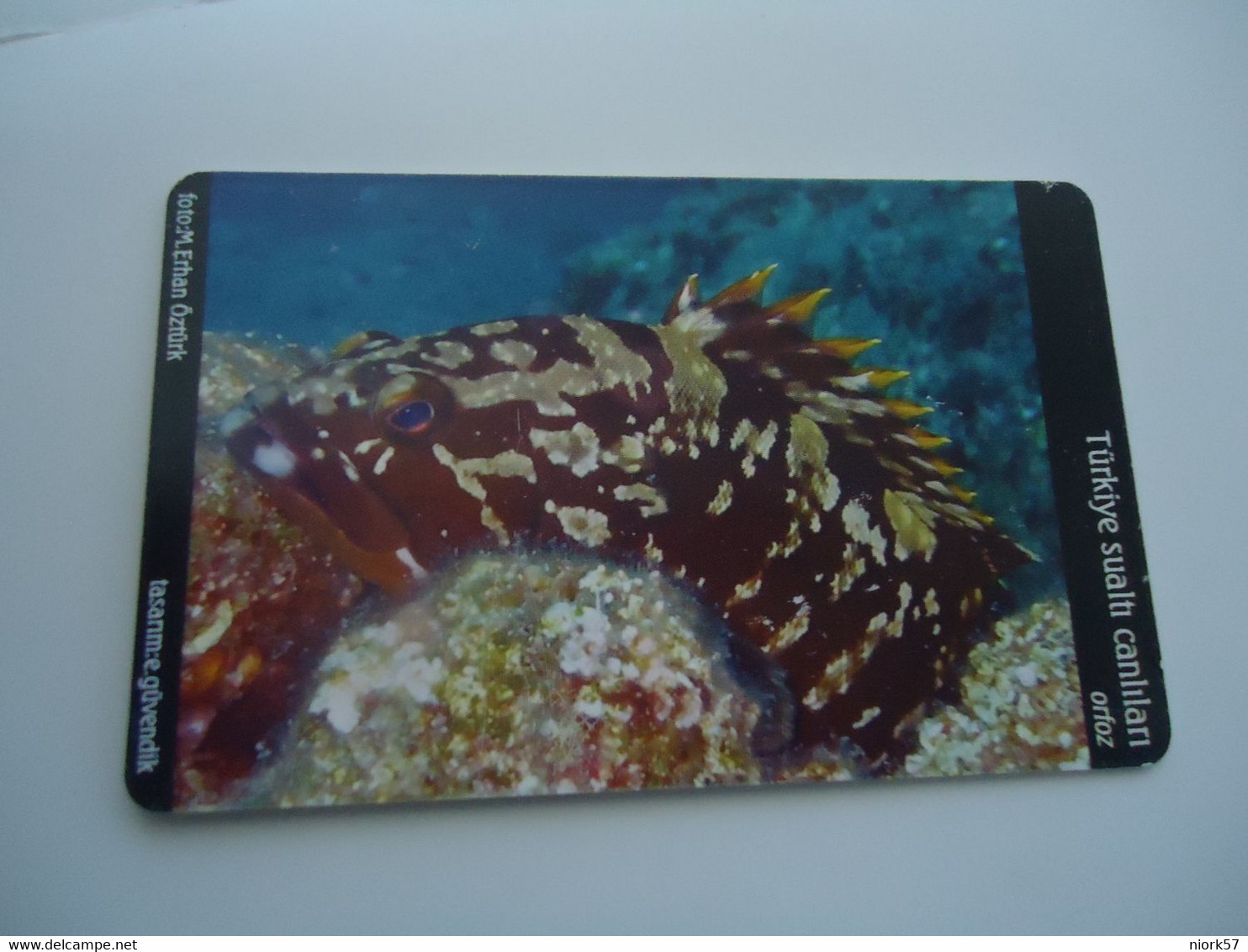 TURKEY USED  CARDS  FISH FISHES  MARINE LIFE 100 - Vissen