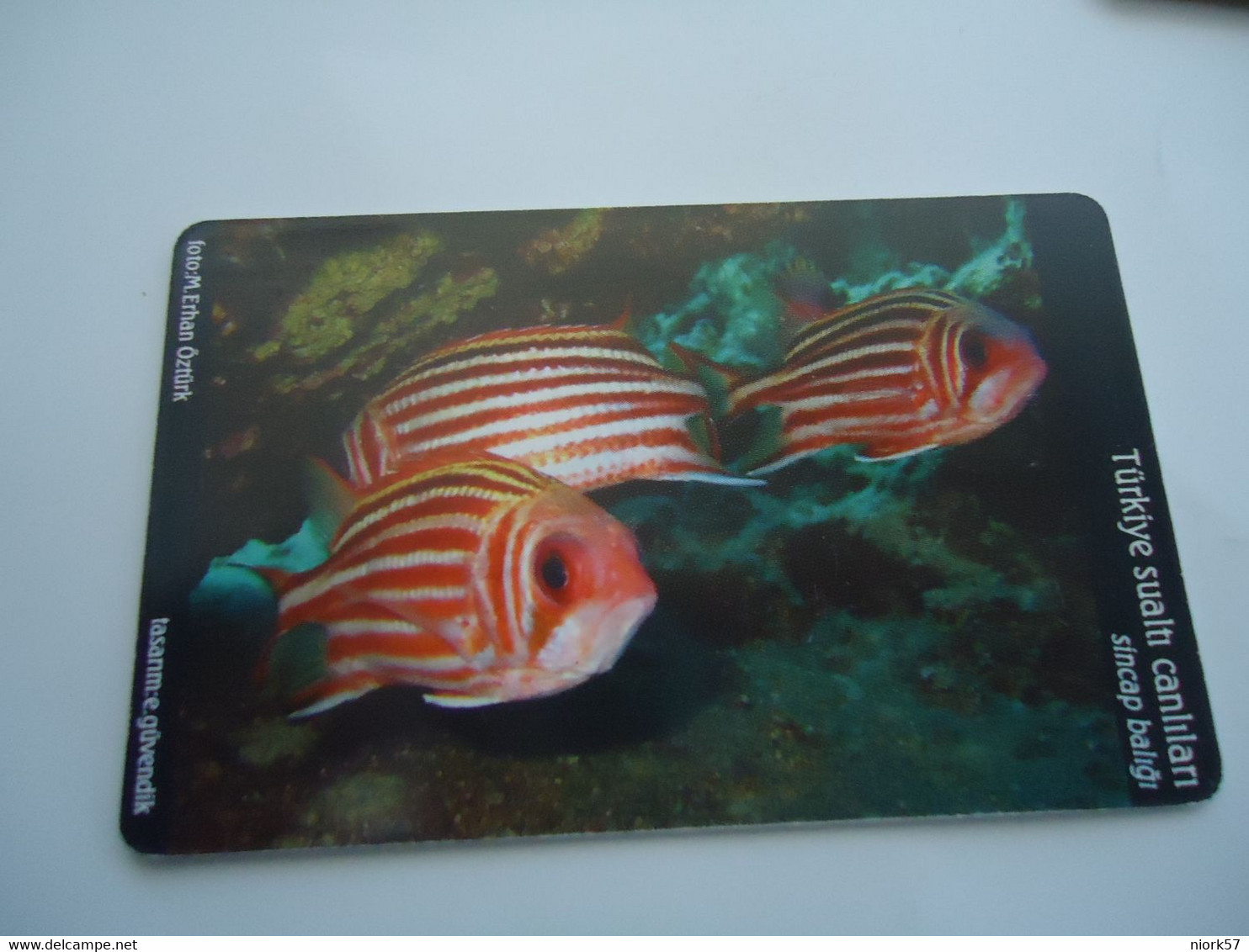 TURKEY USED  CARDS  FISH FISHES  MARINE LIFE 100 - Fische