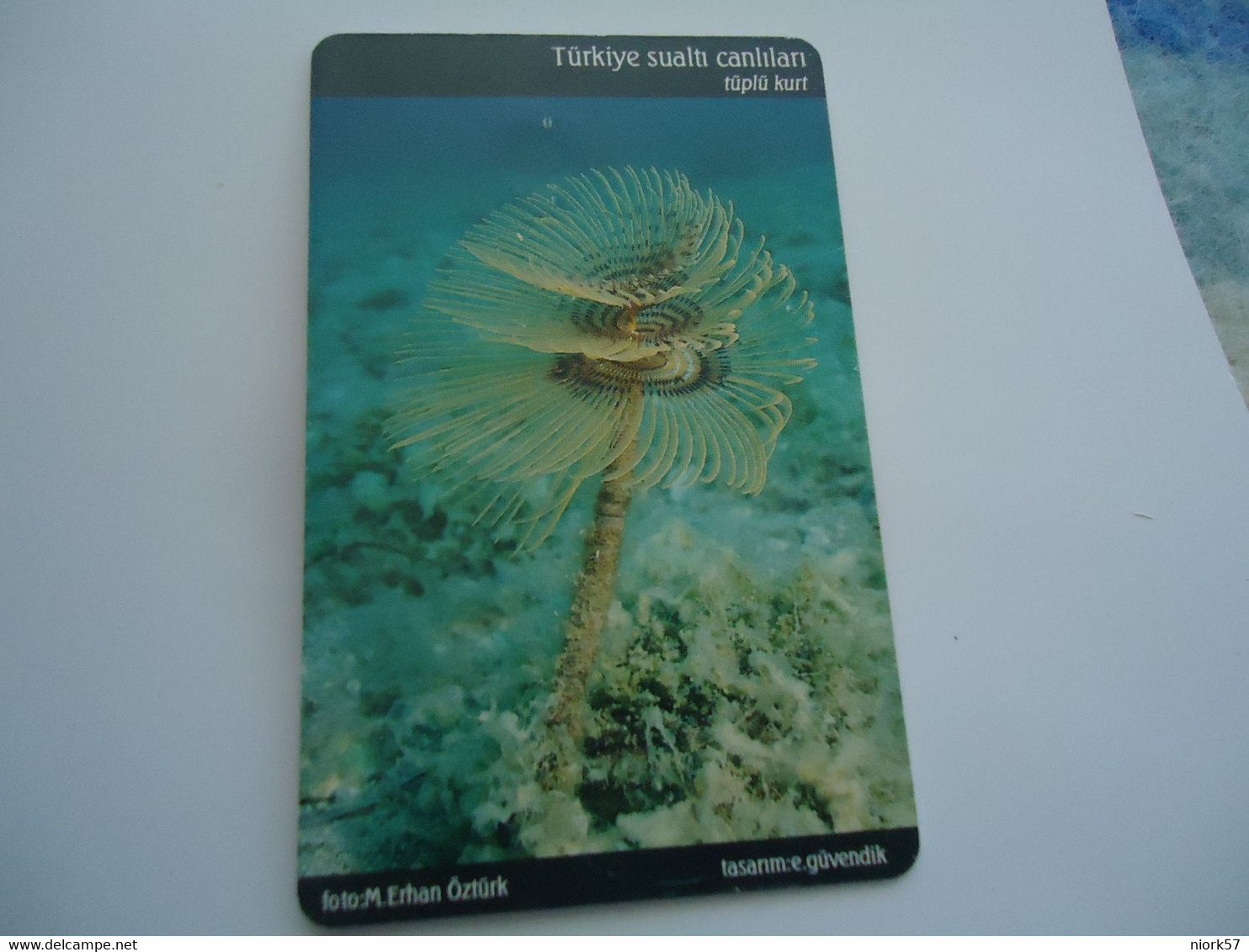 TURKEY USED  CARDS  FISH FISHES  MARINE LIFE - Peces