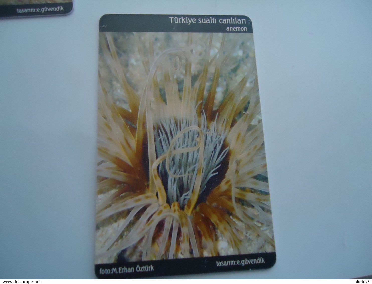 TURKEY USED  CARDS  FISH FISHES  MARINE LIFE - Peces