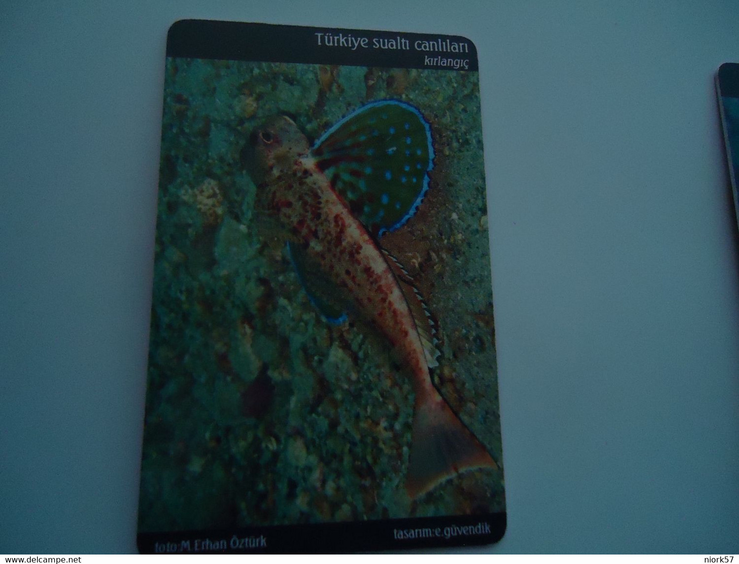 TURKEY USED  CARDS  FISH FISHES  MARINE LIFE - Poissons
