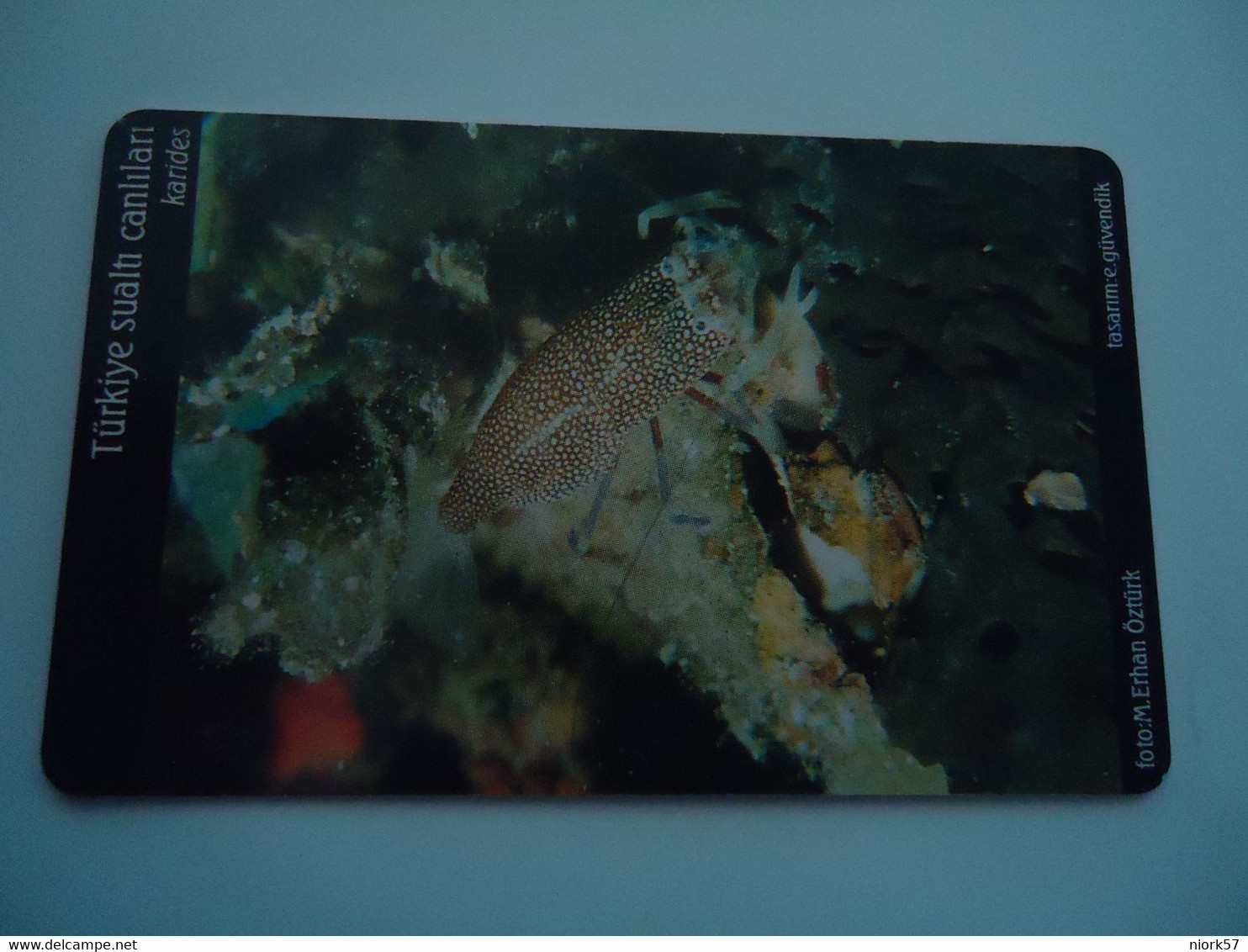 TURKEY USED  CARDS  FISH FISHES  MARINE LIFE  100 - Vissen